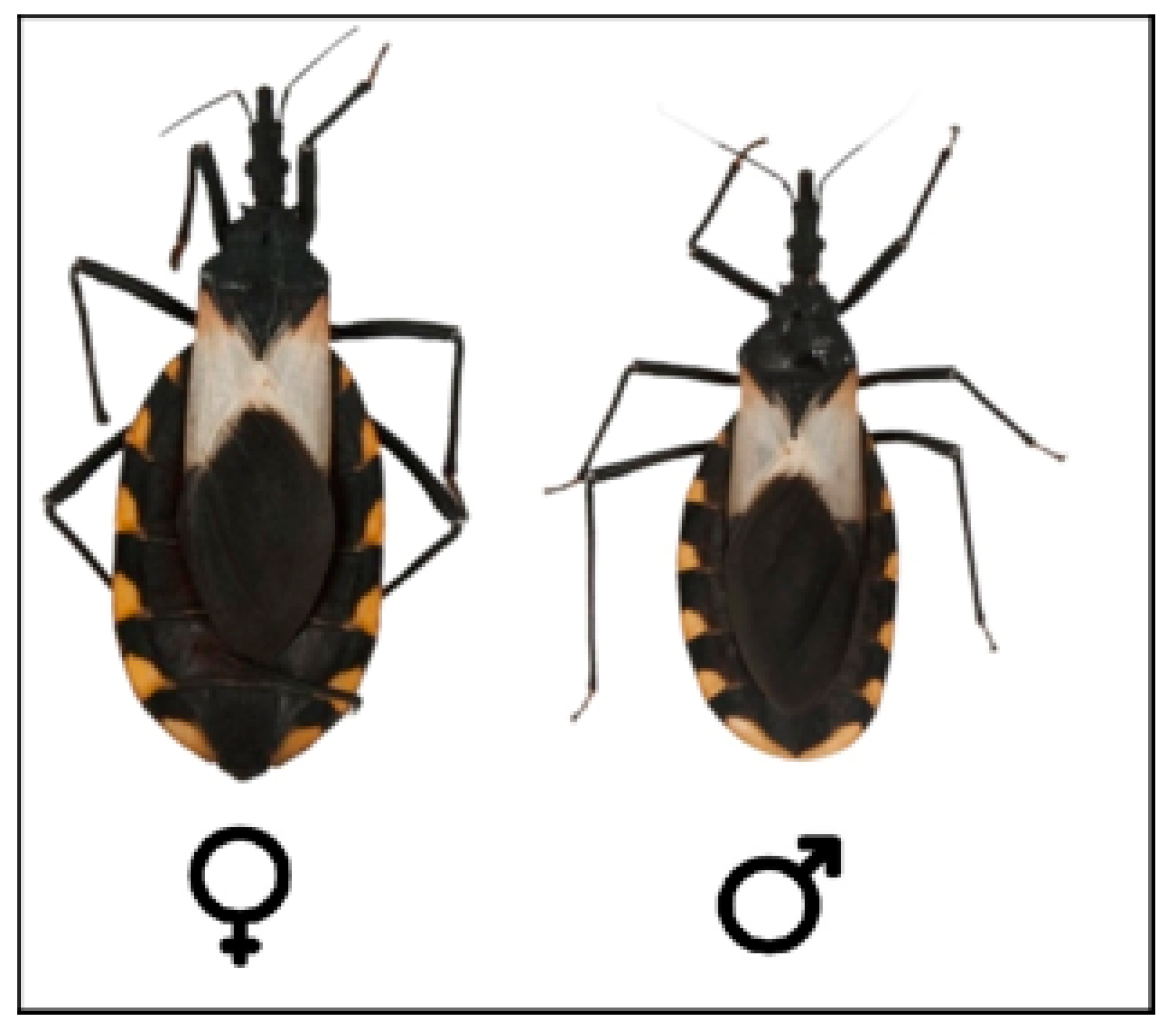 Tropicalmed 08 00360 g006