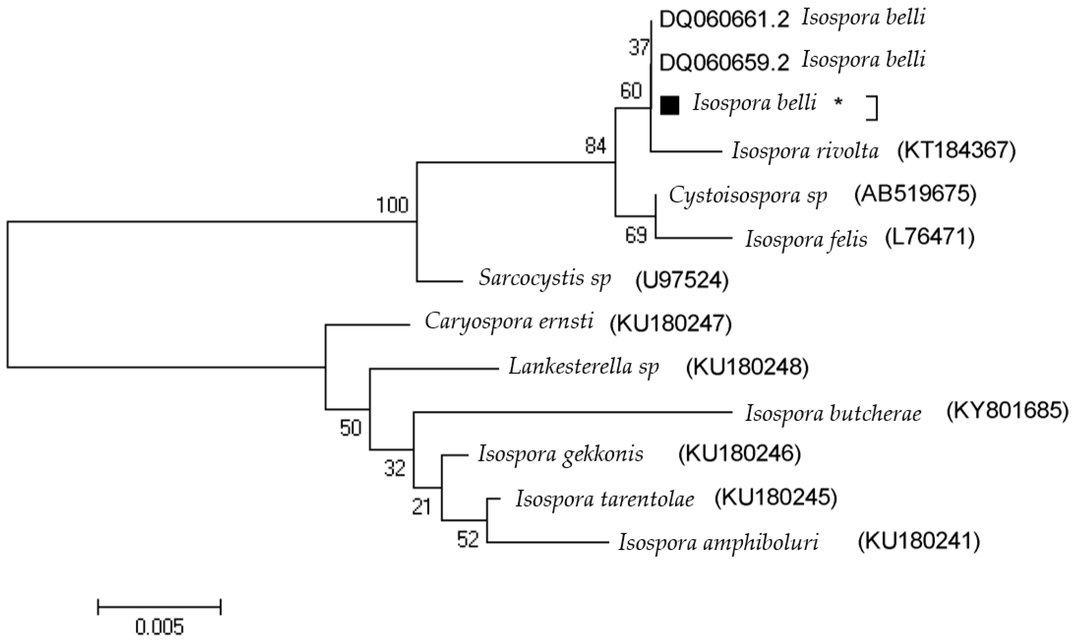 Tropicalmed 08 00368 g004 Tropicalmed 08 00368 g004