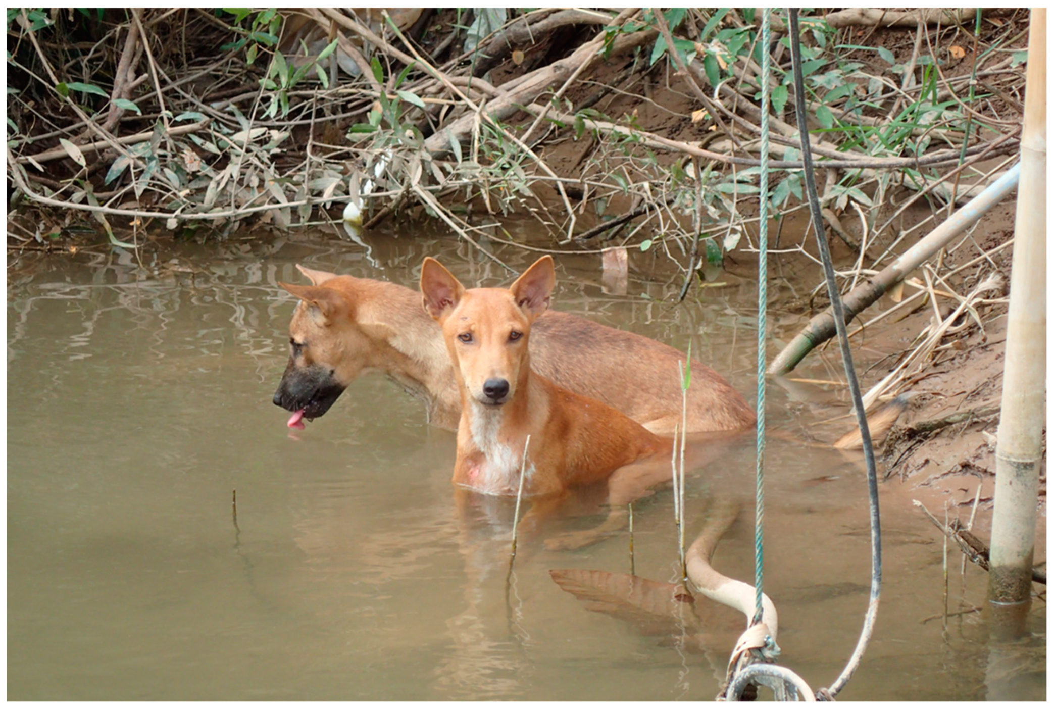 Tropicalmed 08 00372 g002