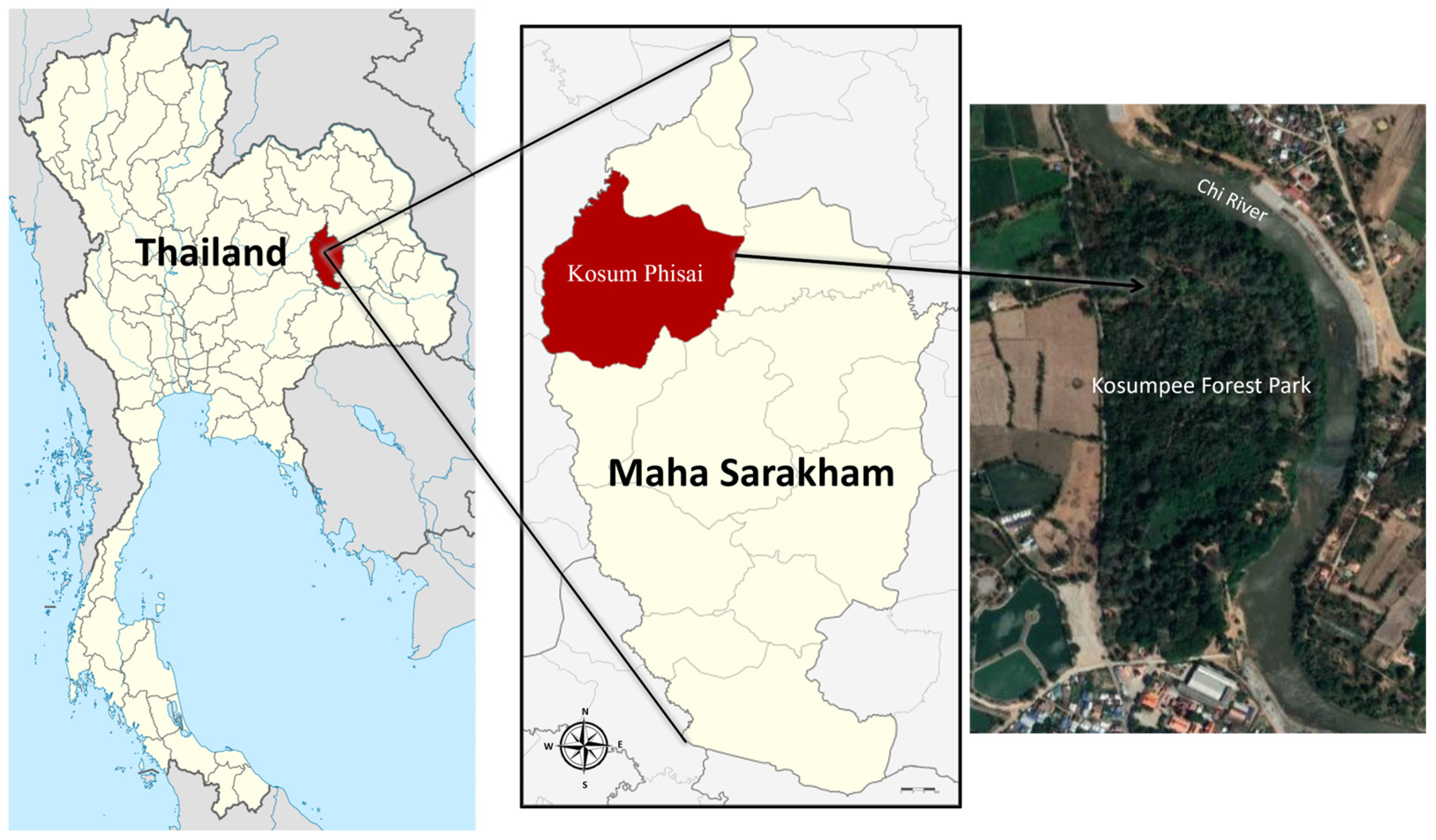Tropicalmed 08 00374 g001