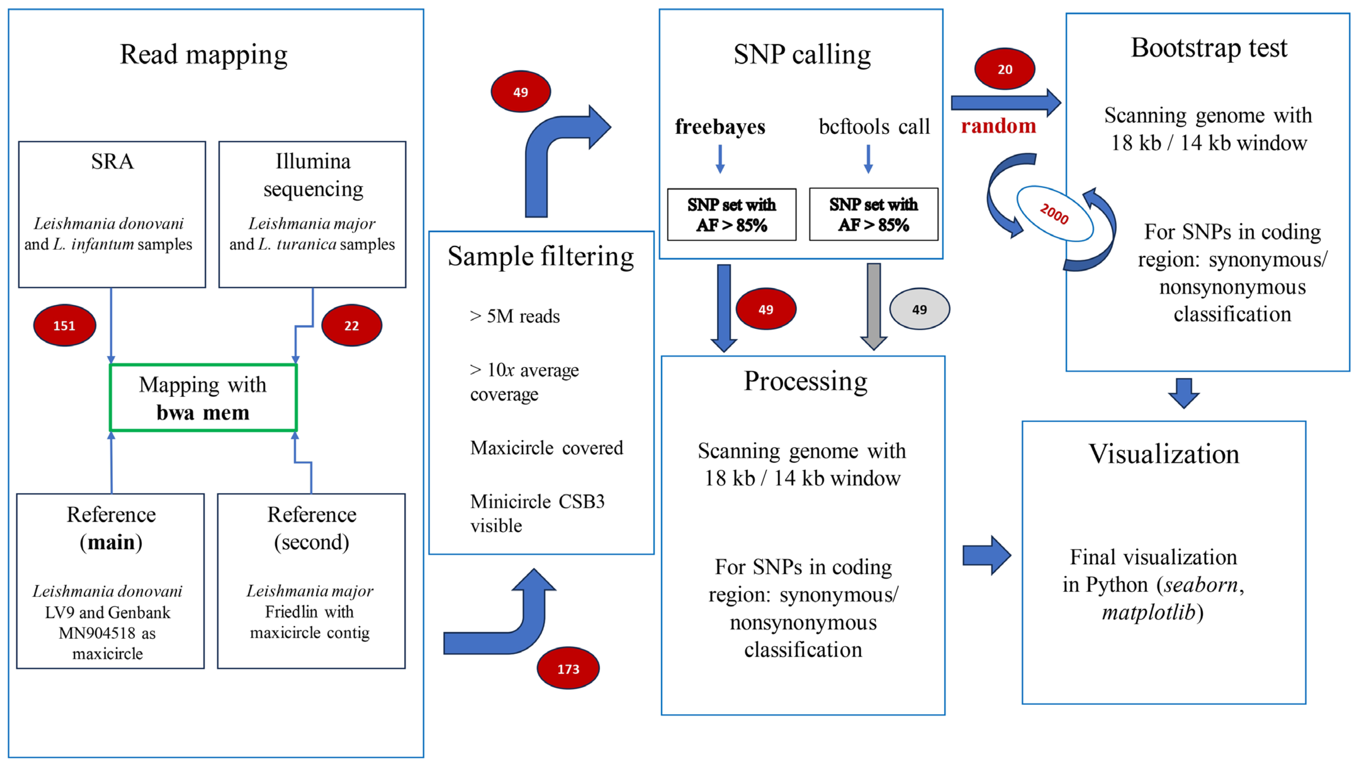 Tropicalmed 08 00384 g001