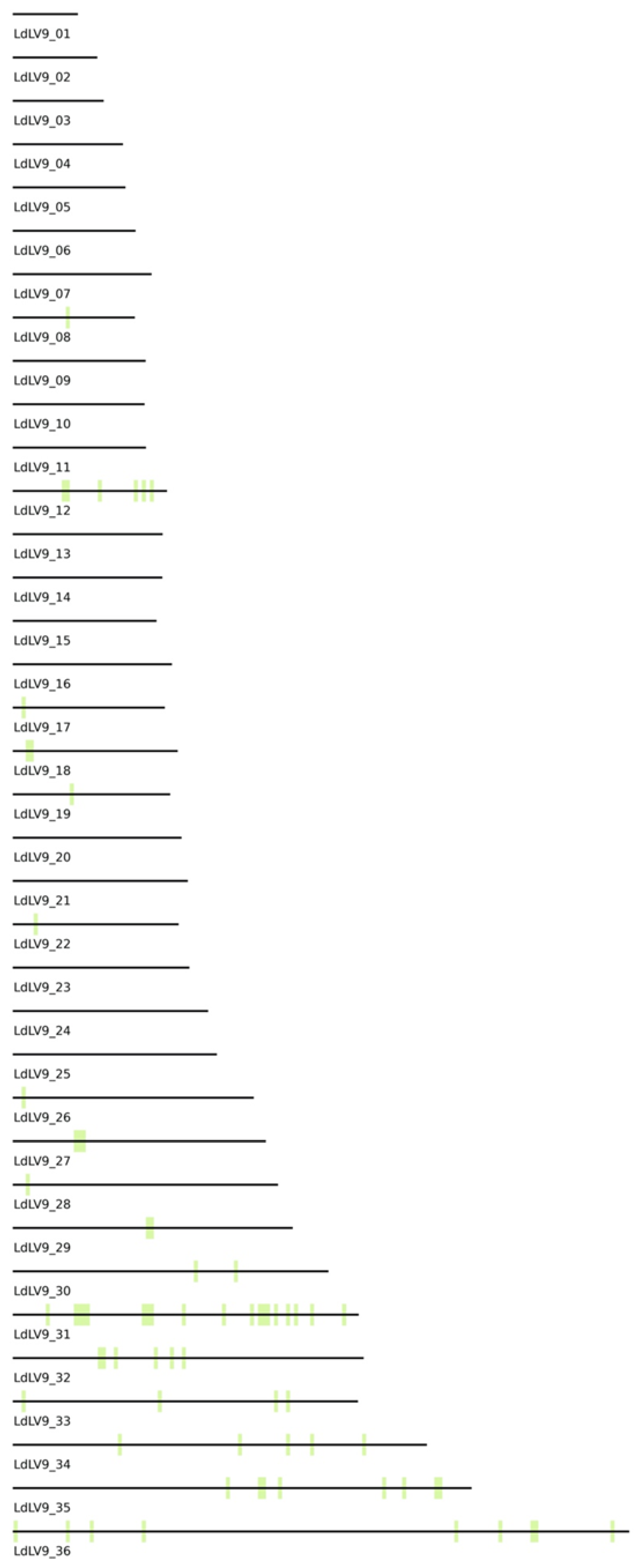 Tropicalmed 08 00384 g004