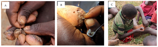 Tropicalmed 08 00425 g004