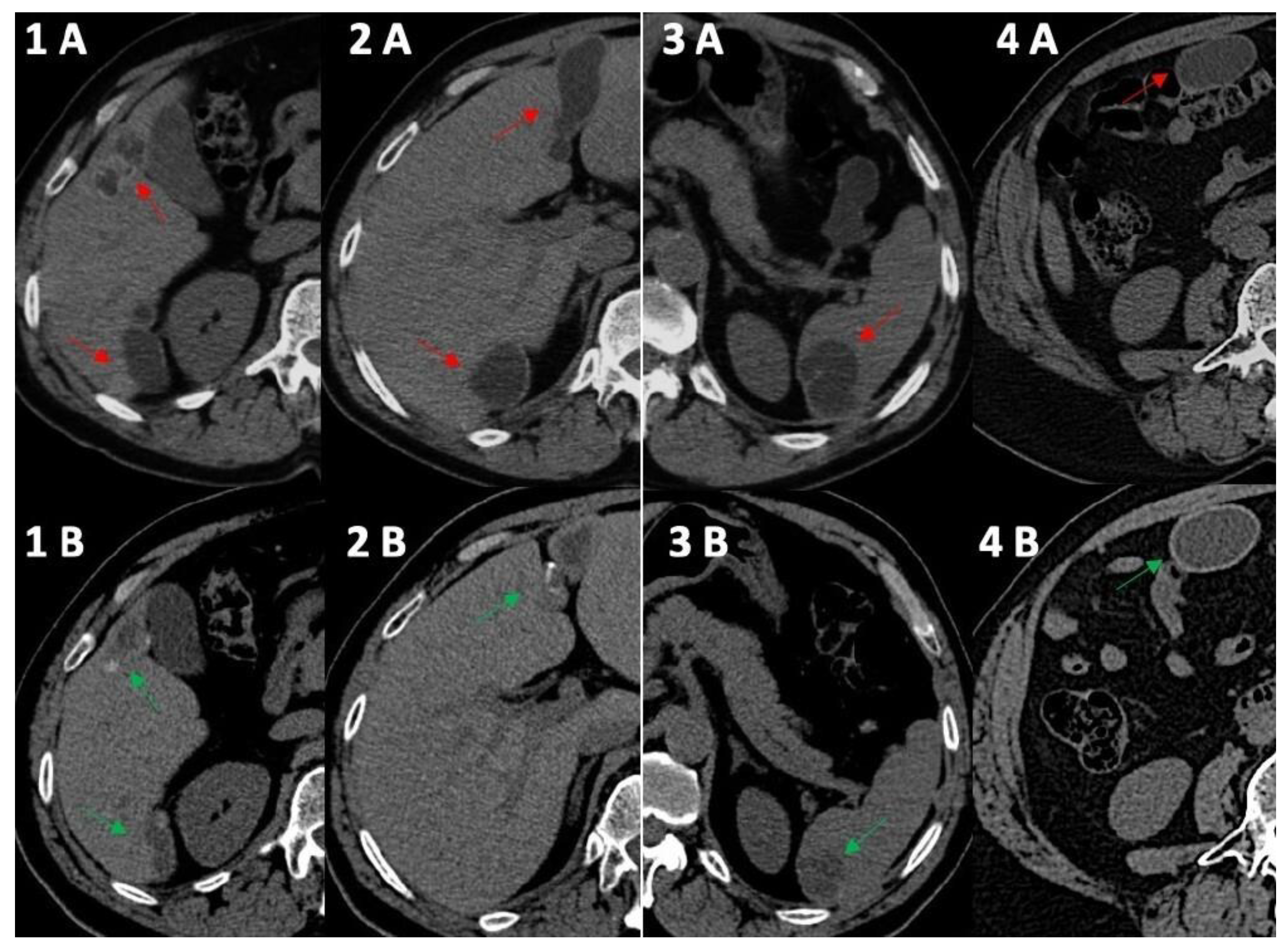 Tropicalmed 08 00449 g001