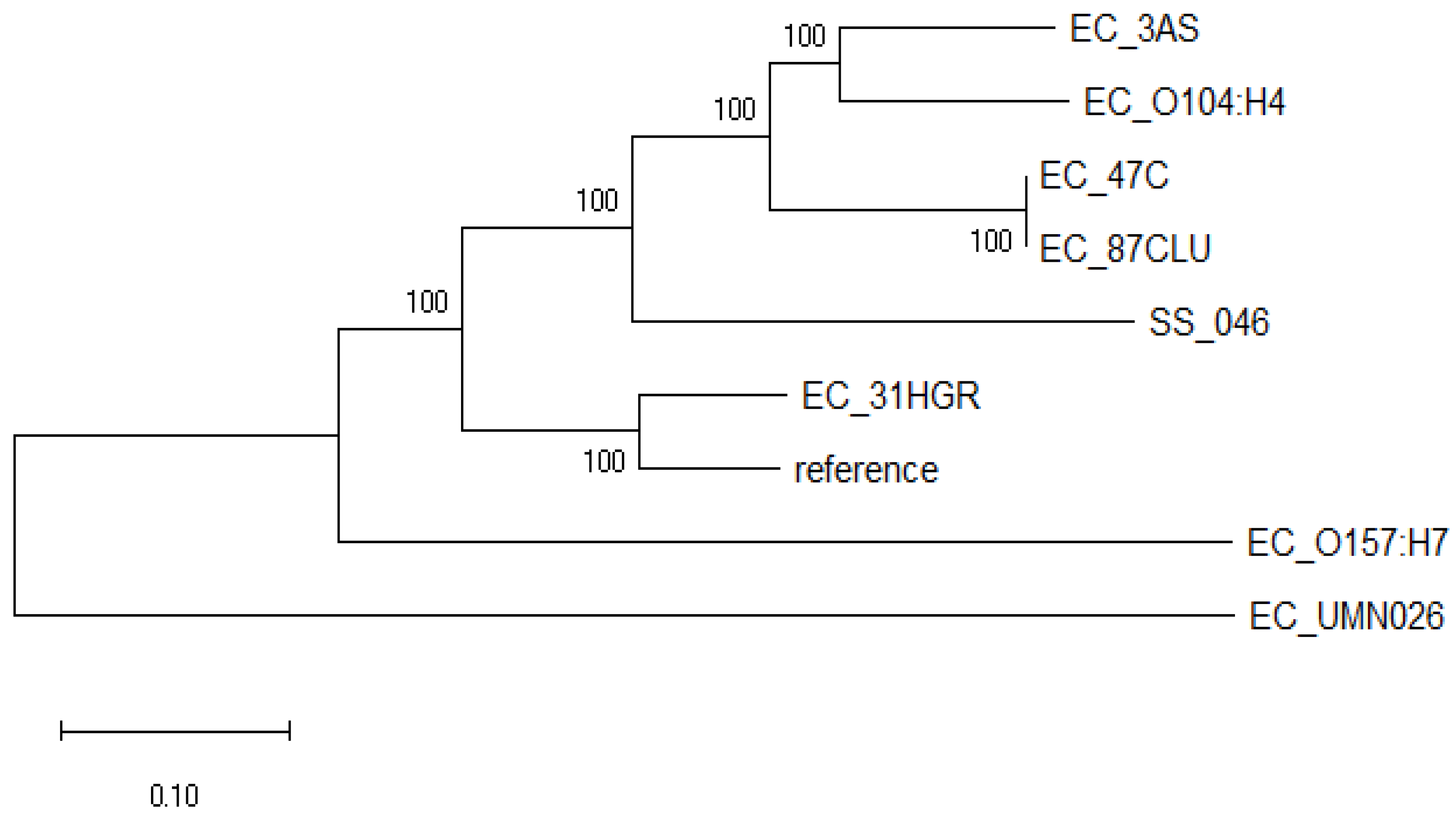 Tropicalmed 08 00458 g001