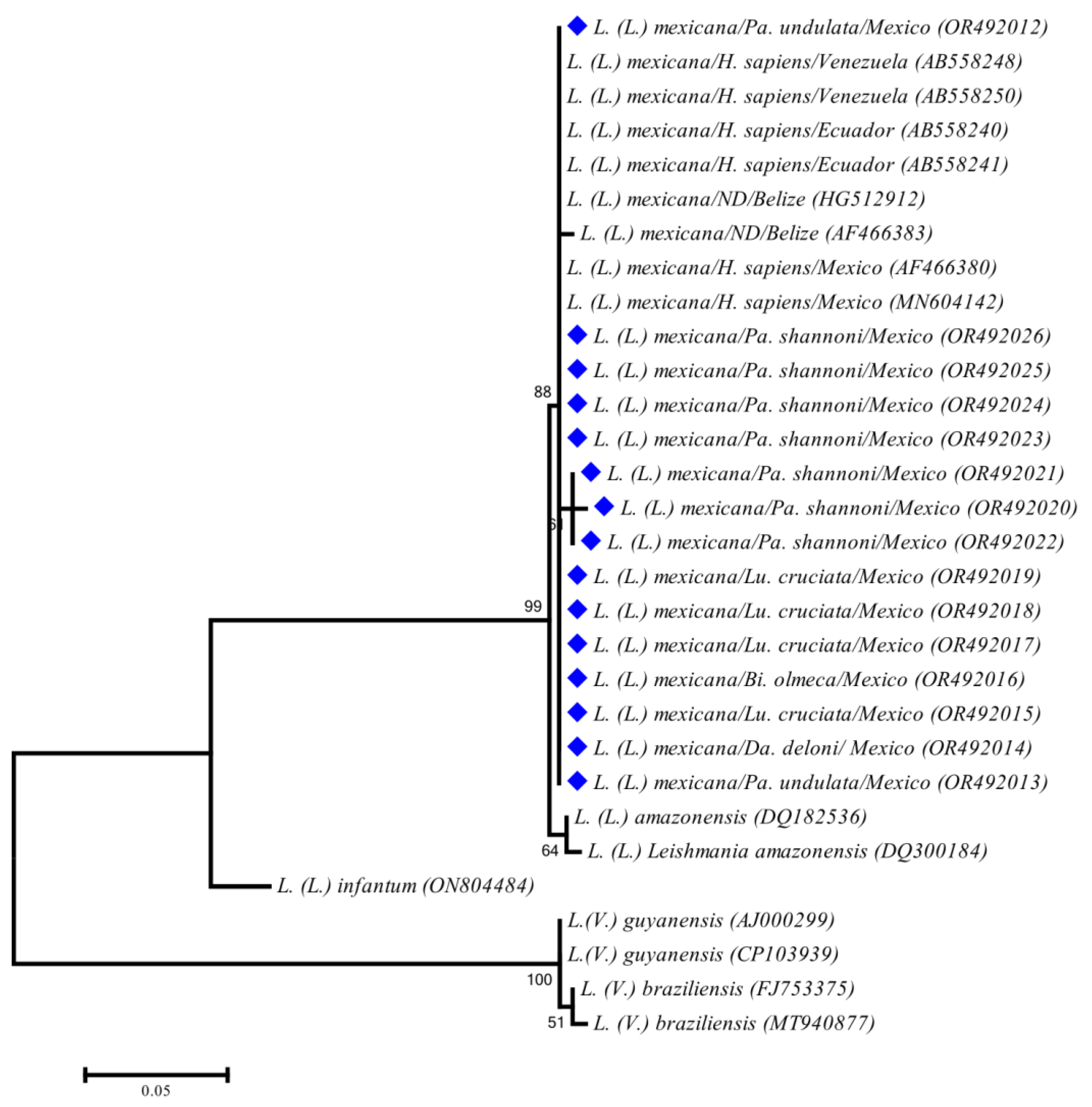 Tropicalmed 08 00465 g002
