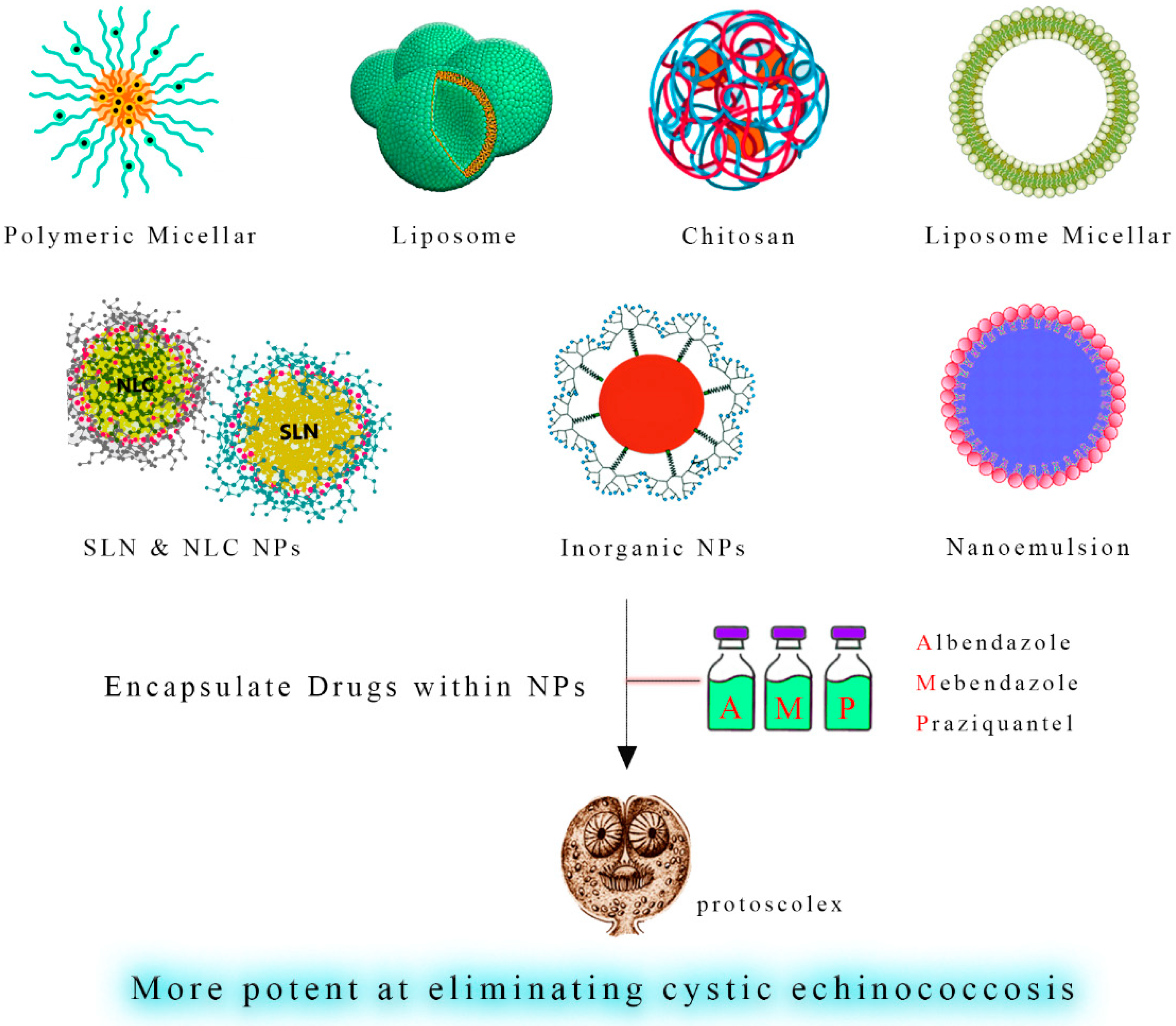 Tropicalmed 08 00494 g005