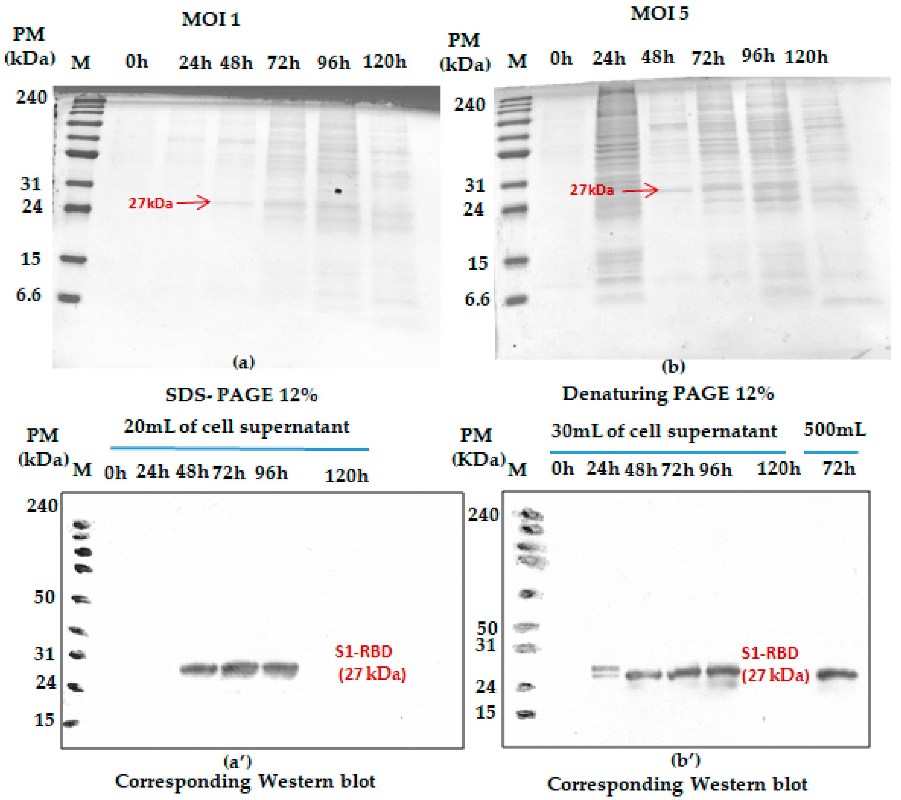 Tropicalmed 08 00501 g002