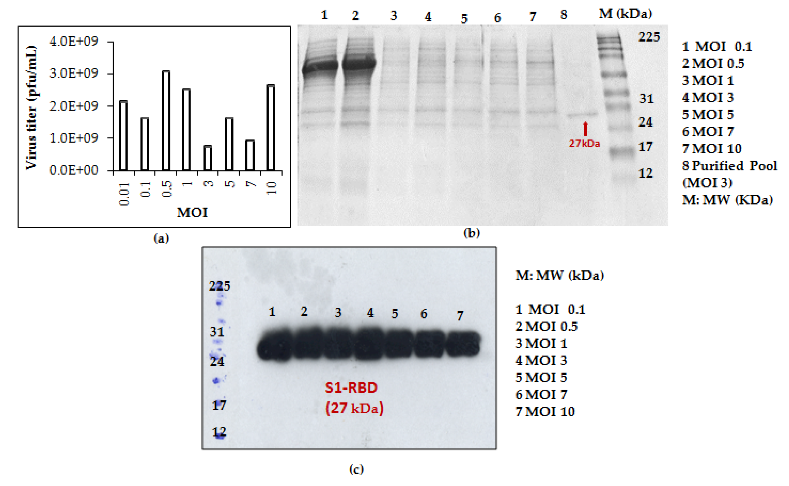 Tropicalmed 08 00501 g003