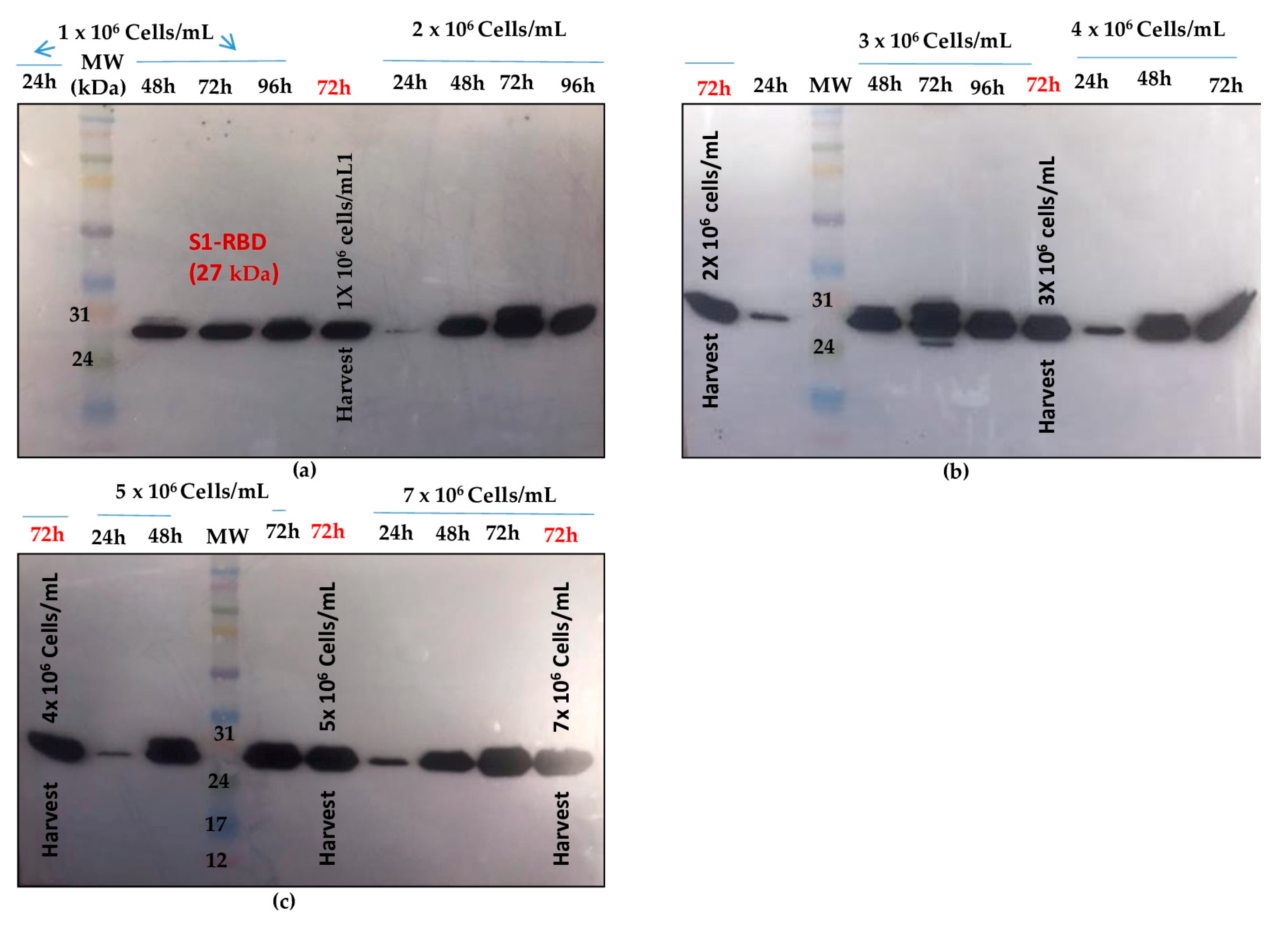 Tropicalmed 08 00501 g004