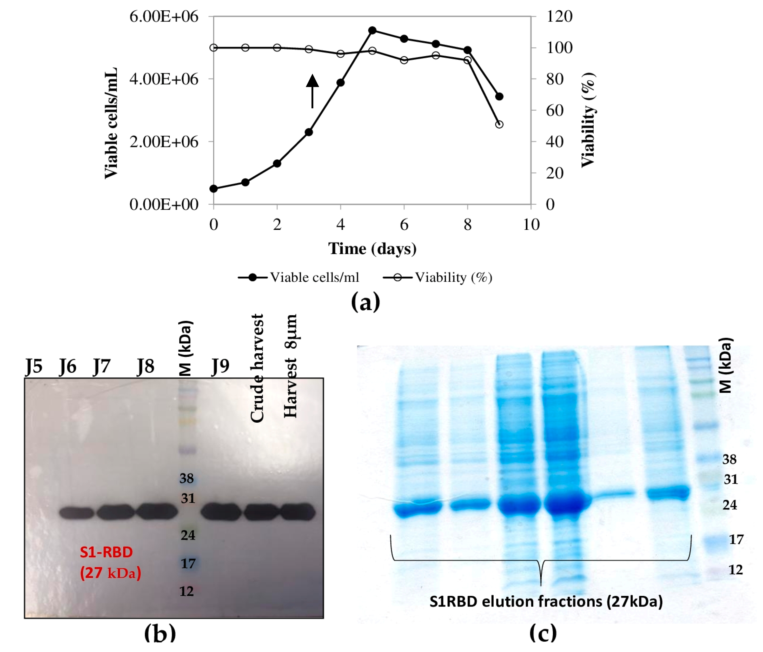 Tropicalmed 08 00501 g005