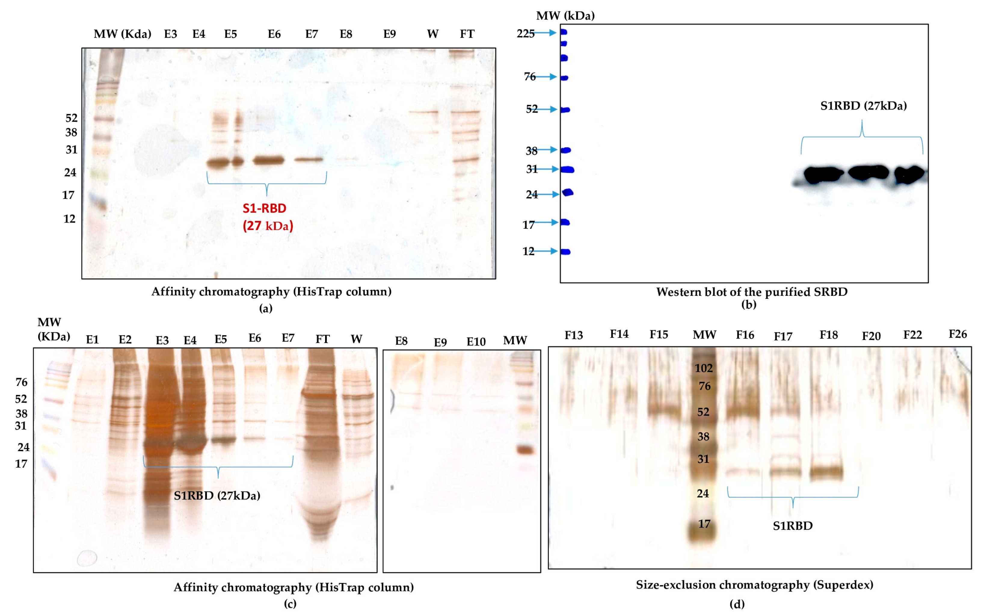Tropicalmed 08 00501 g006