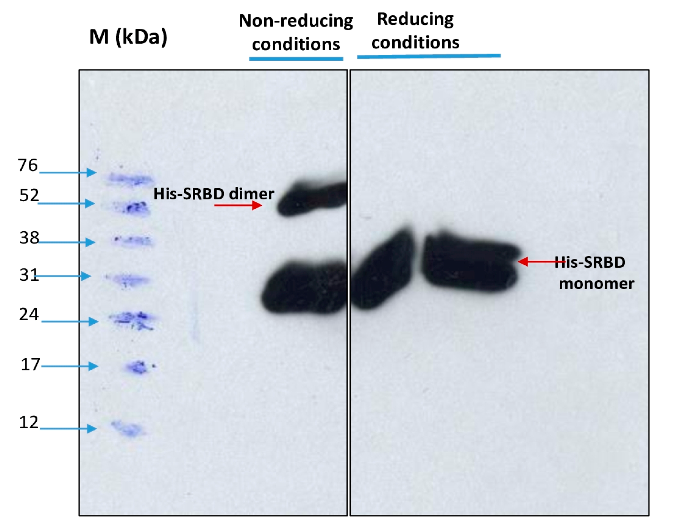 Tropicalmed 08 00501 g007