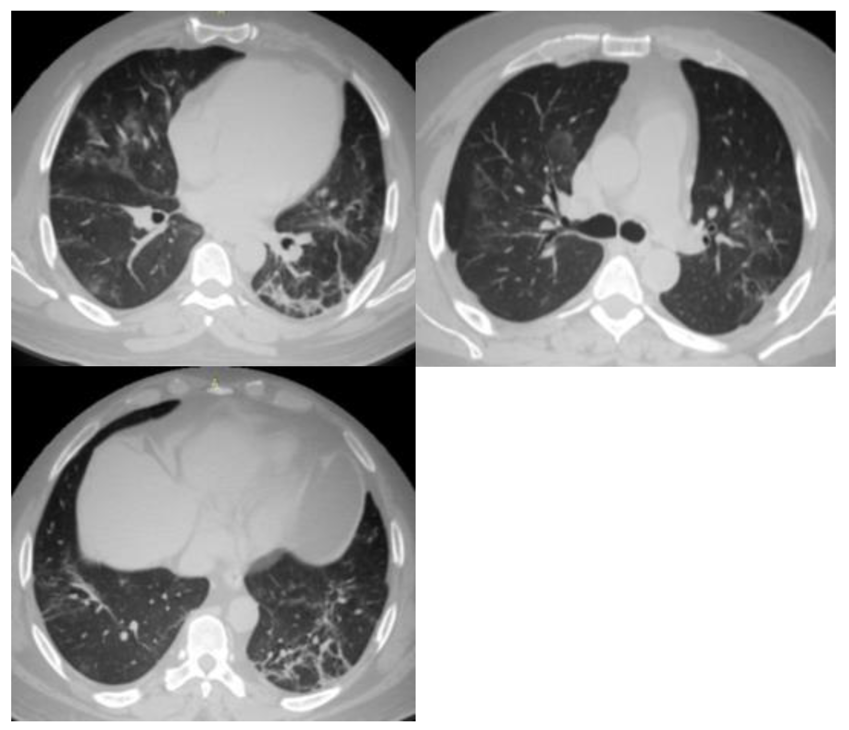 Tropicalmed 08 00523 g001