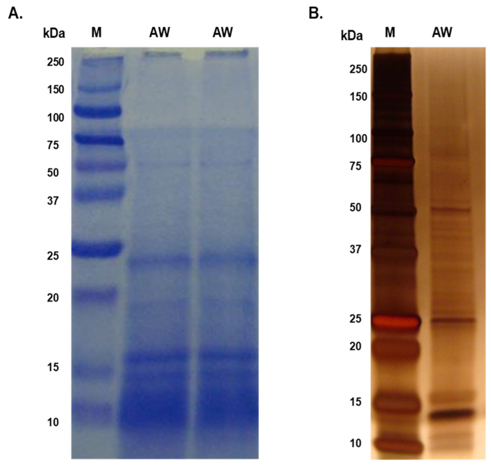 Tropicalmed 09 00006 g001