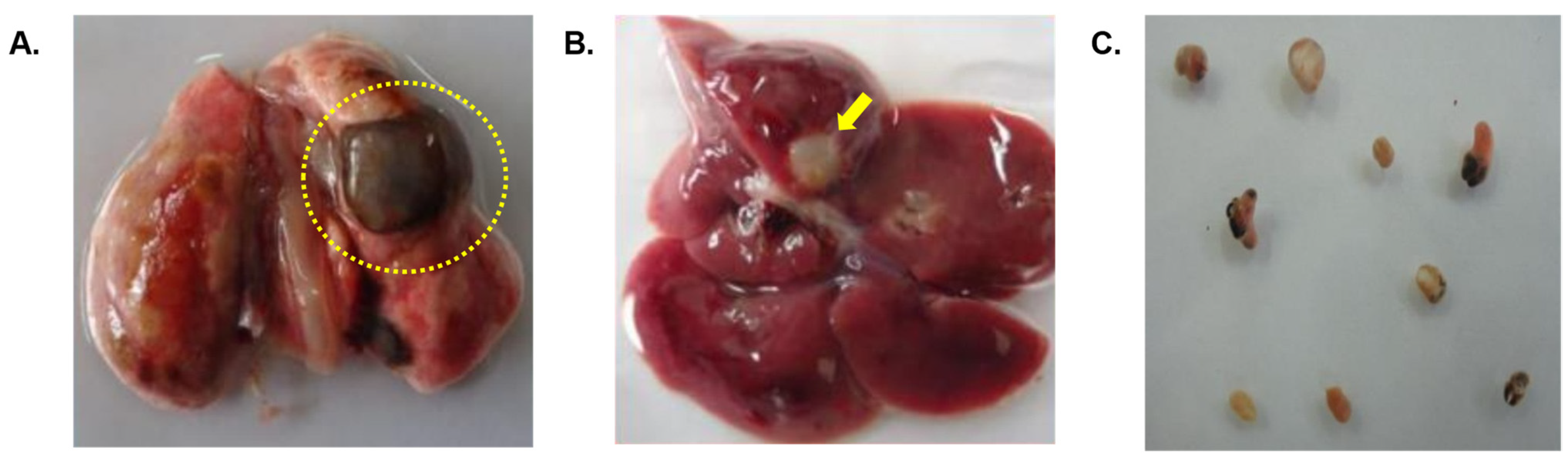 Tropicalmed 09 00006 g003