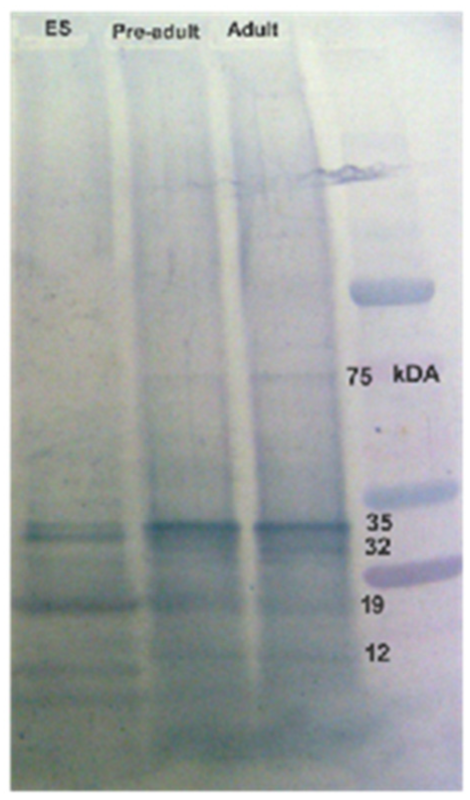 Tropicalmed 09 00006 g005