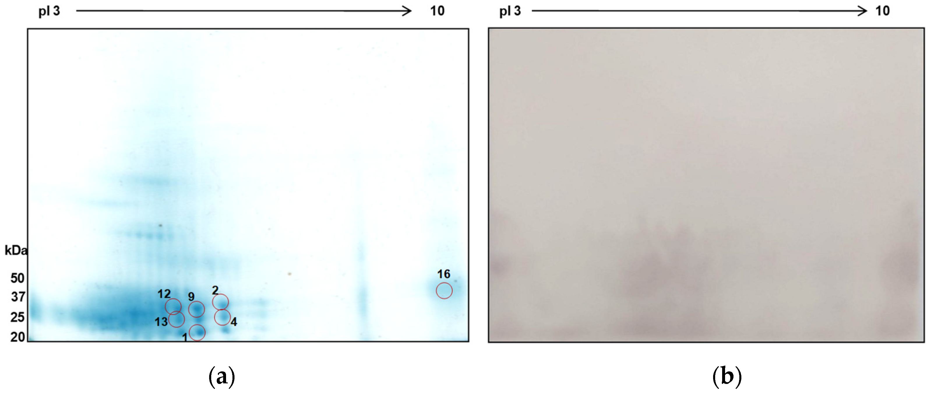 Tropicalmed 09 00006 g007