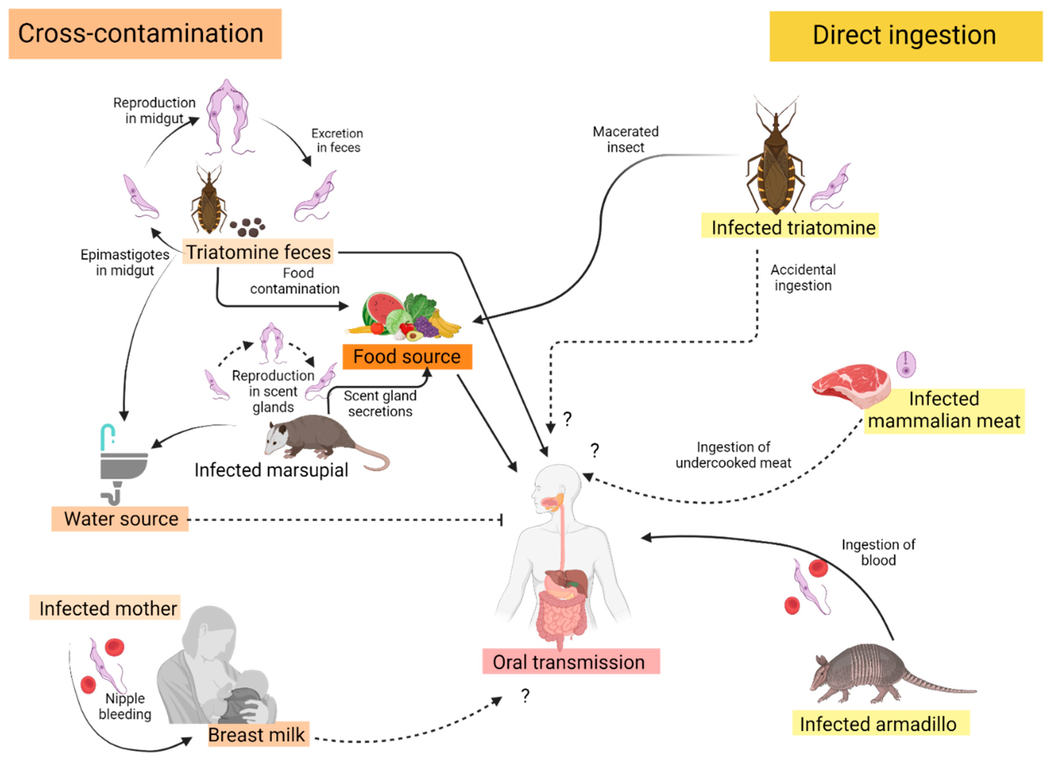 Tropicalmed 09 00014 g001
