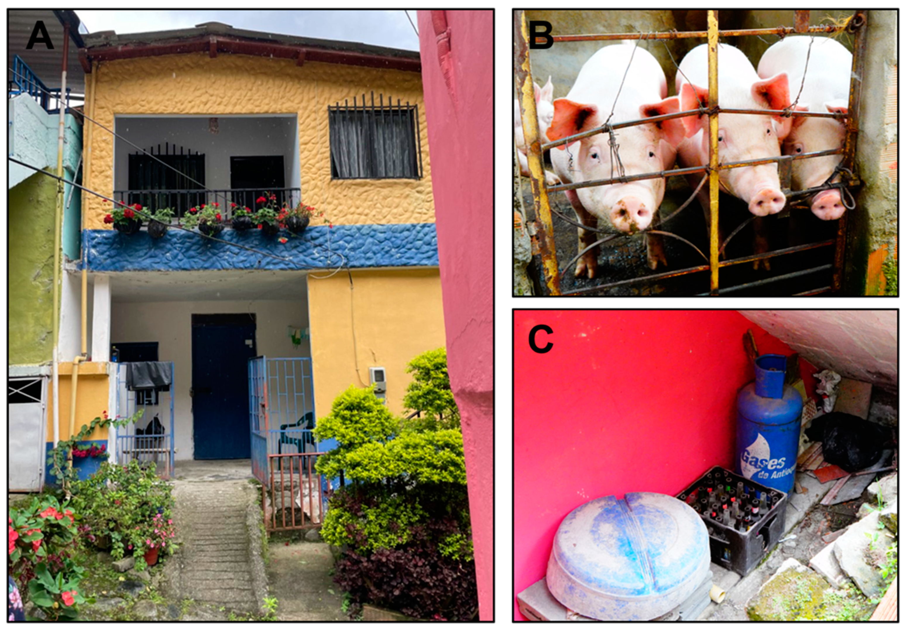 Tropicalmed 09 00014 g004