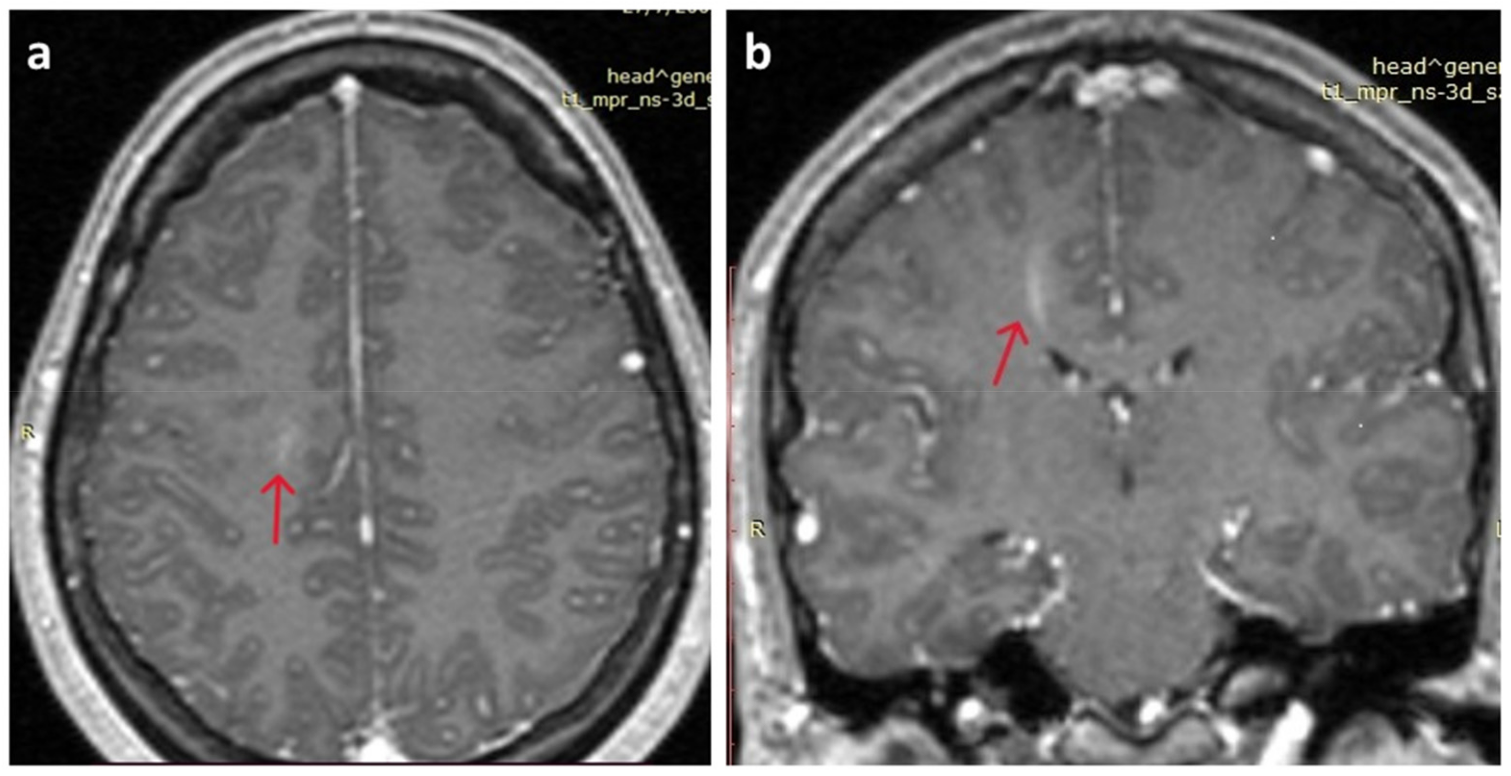Tropicalmed 09 00025 g001