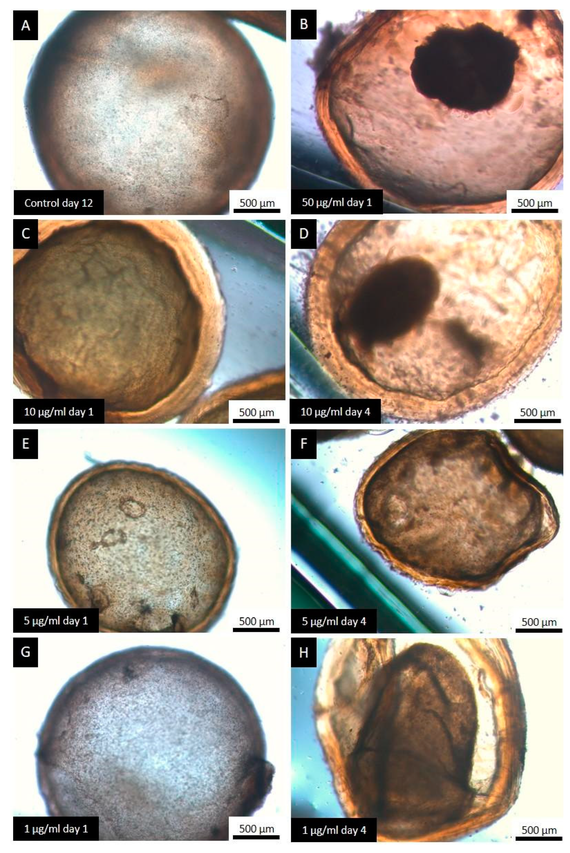 Tropicalmed 09 00035 g005