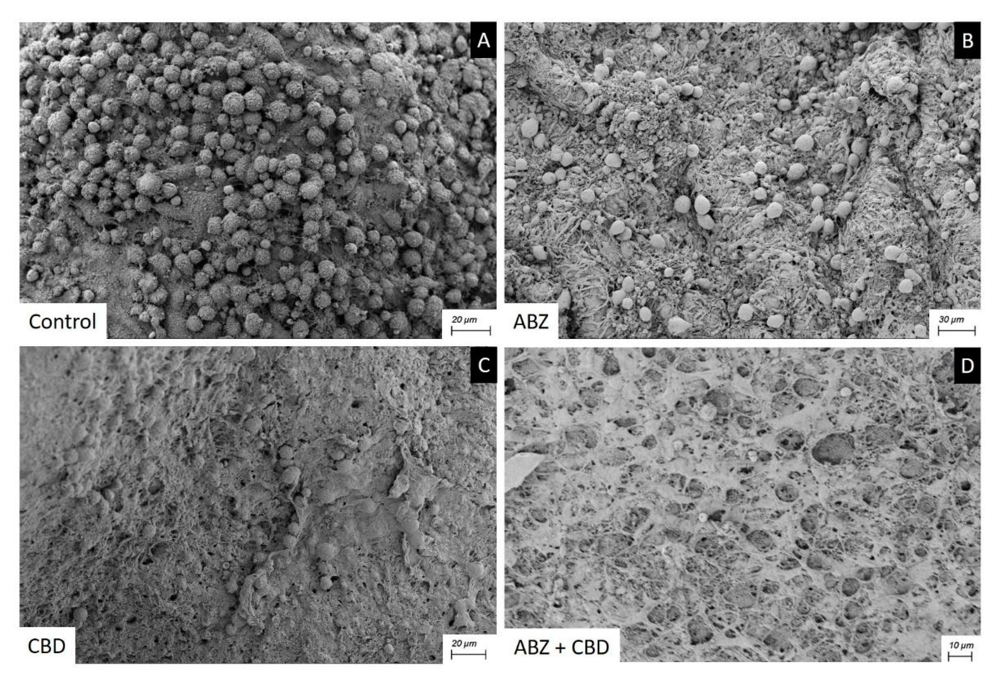 Tropicalmed 09 00035 g006
