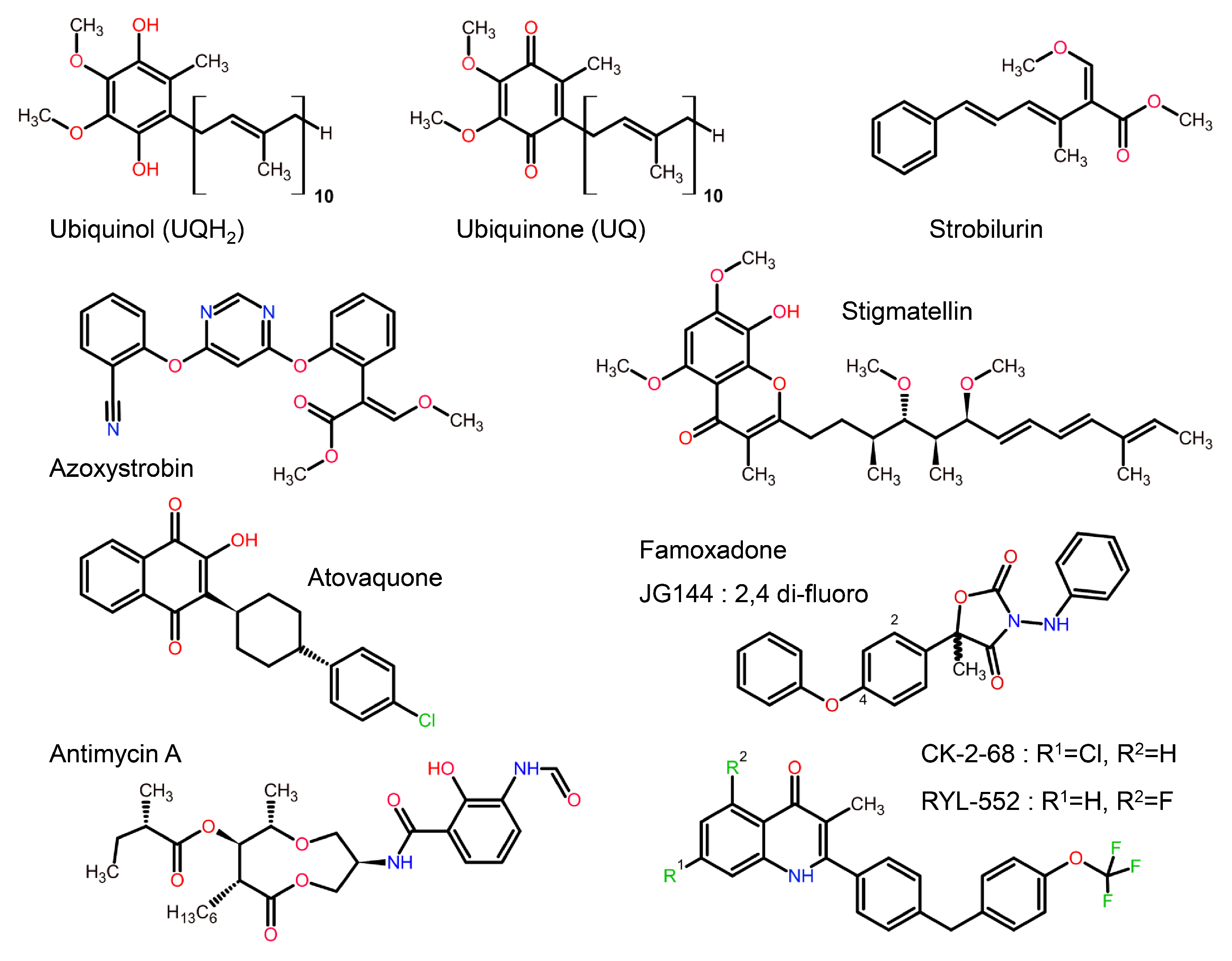 Tropicalmed 09 00039 g004