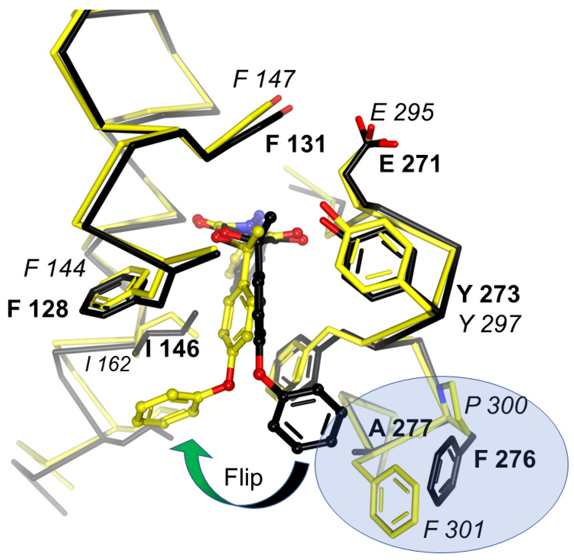 Tropicalmed 09 00039 g009