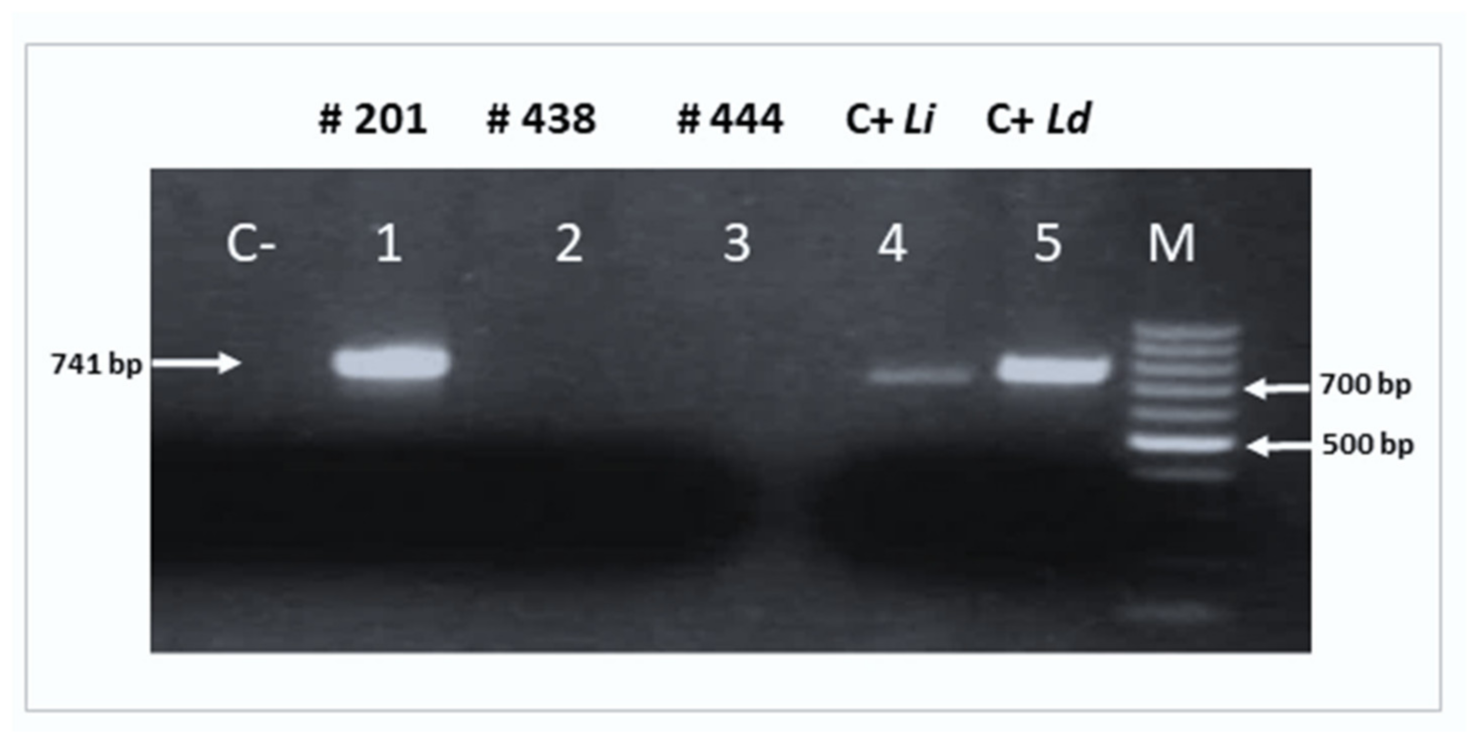 Tropicalmed 09 00040 g004 Tropicalmed 09 00040 g004