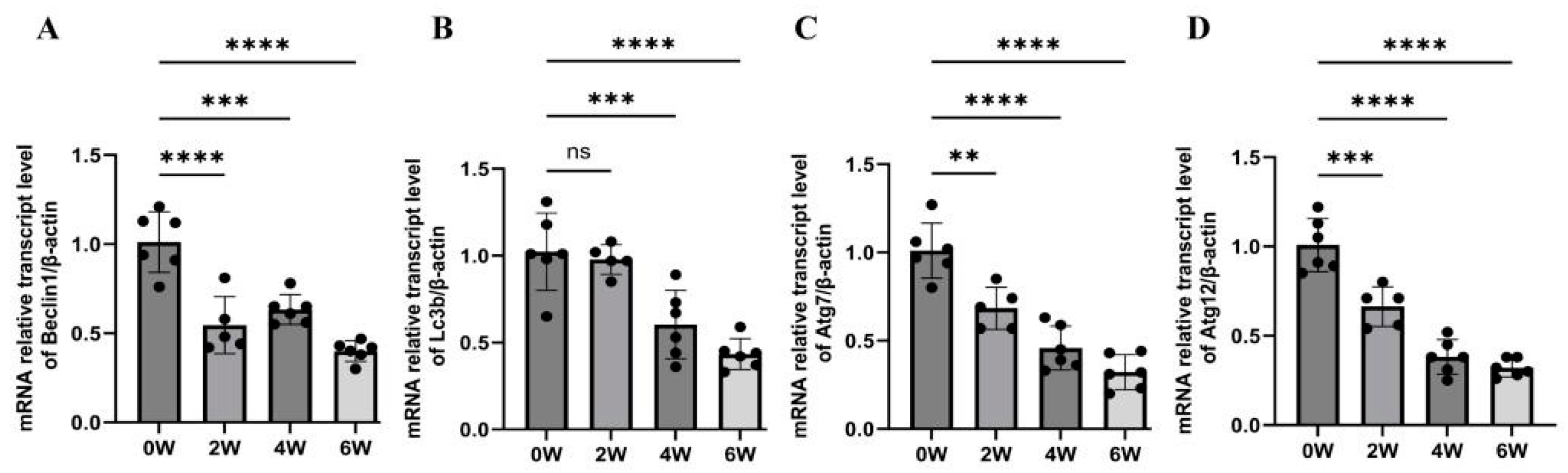 Tropicalmed 09 00042 g001