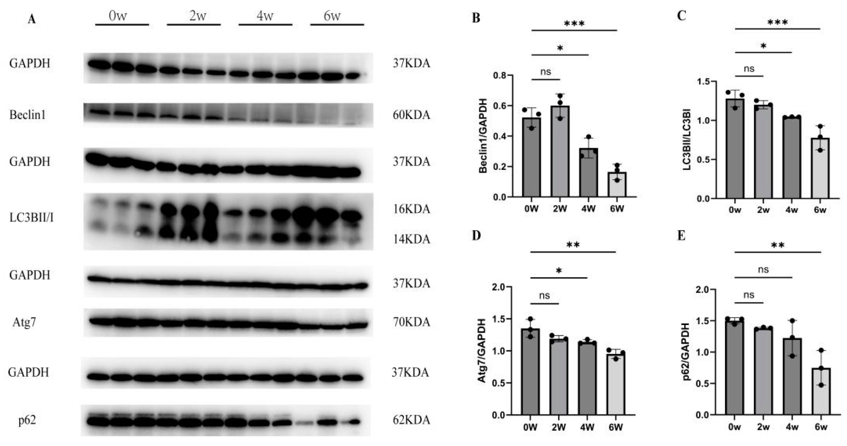 Tropicalmed 09 00042 g002