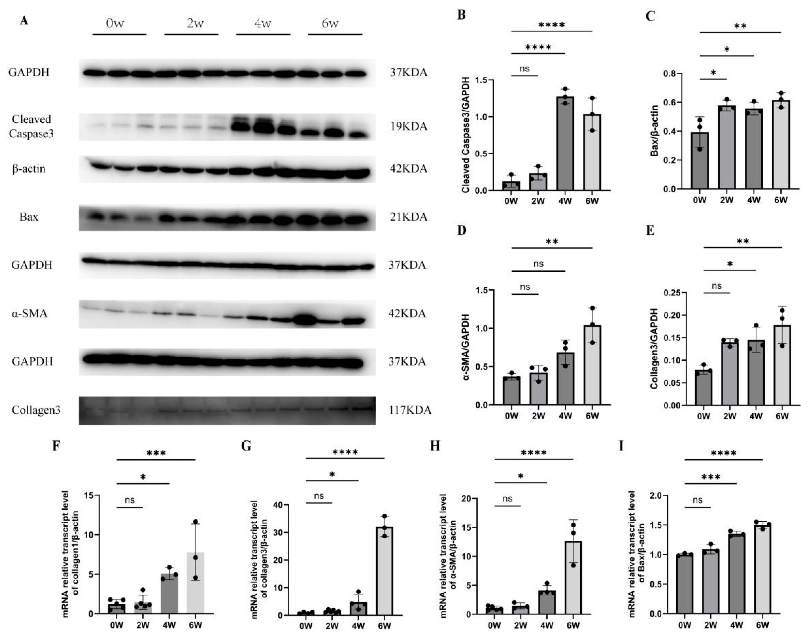 Tropicalmed 09 00042 g003