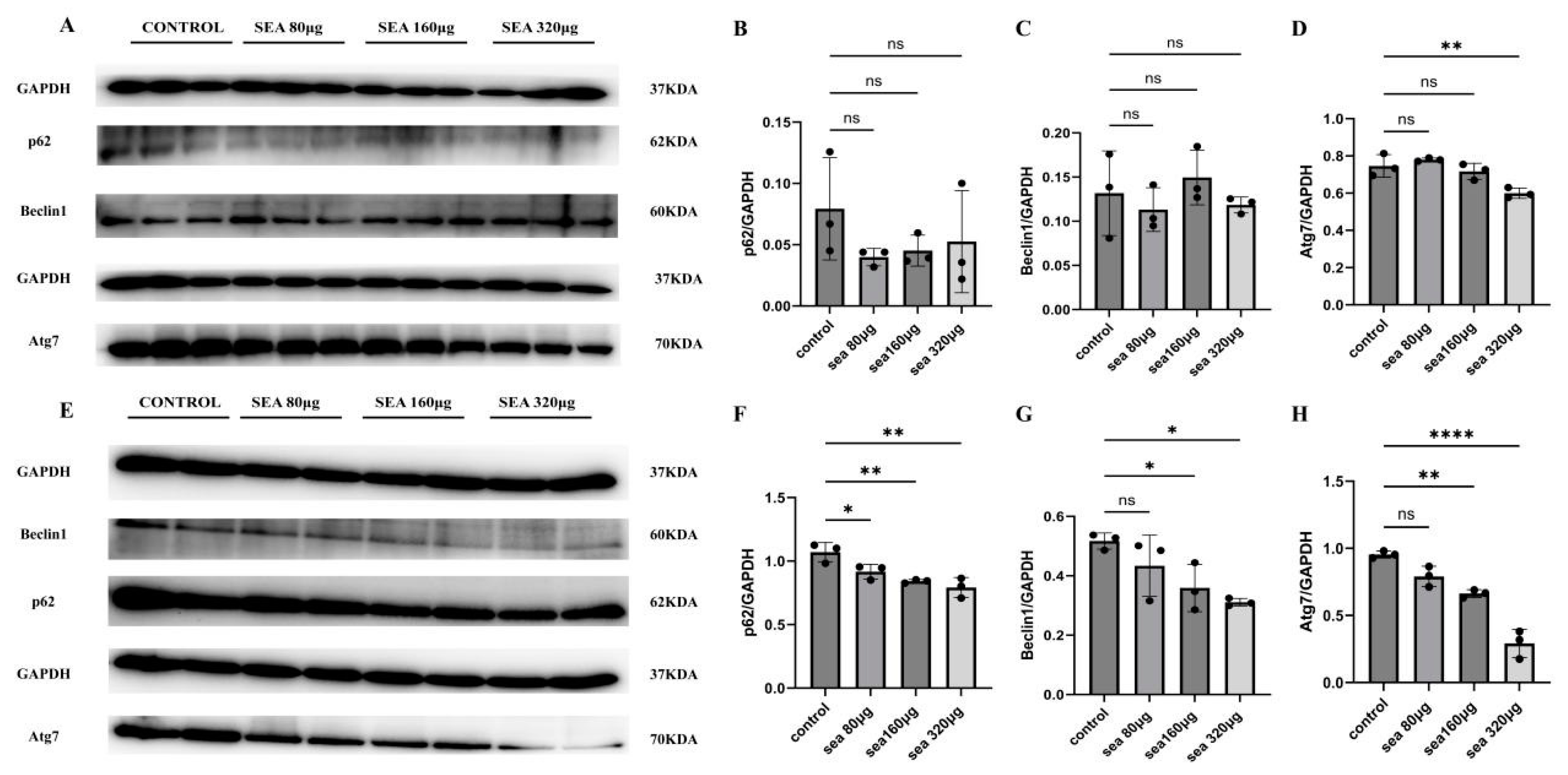 Tropicalmed 09 00042 g004