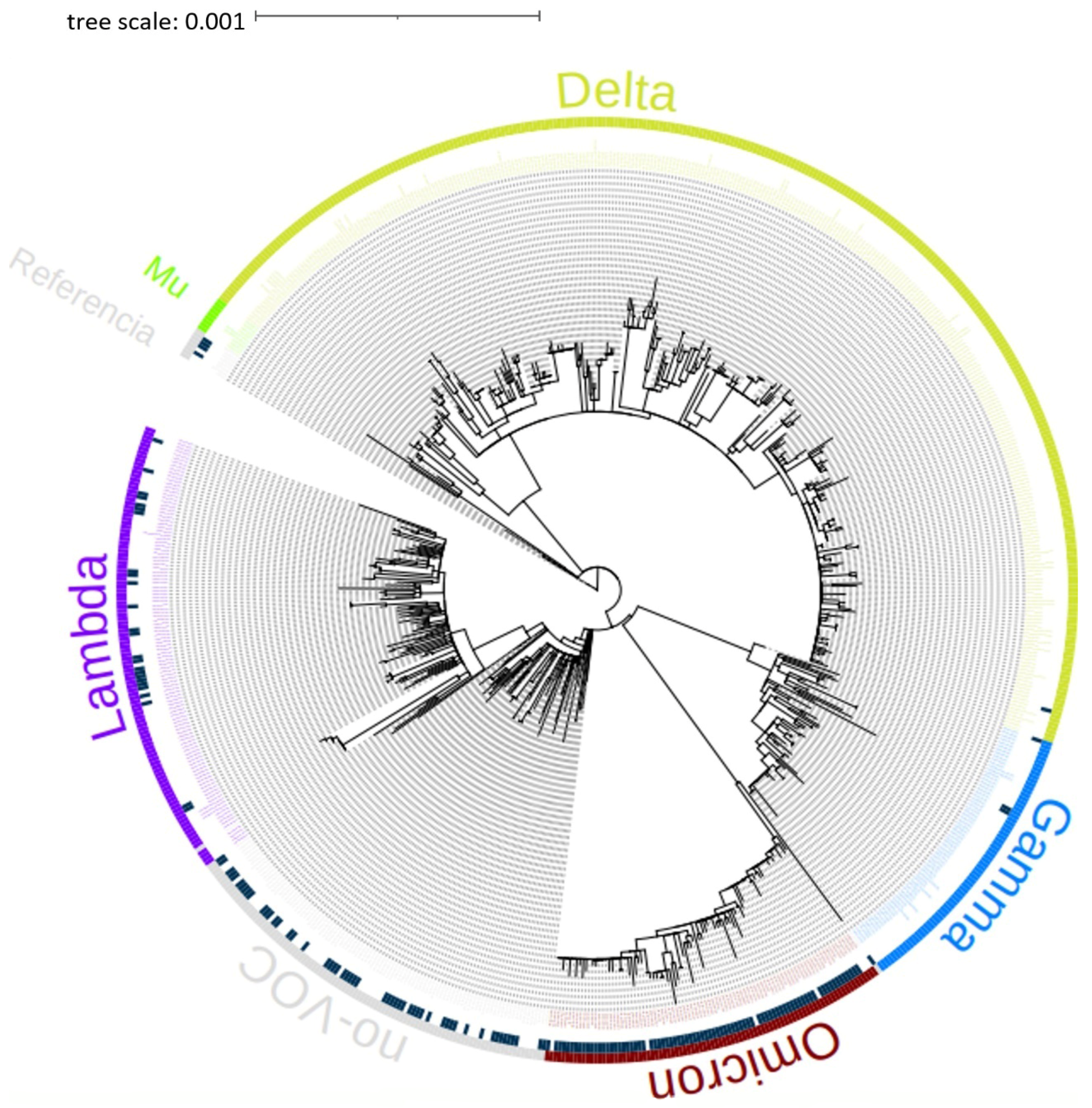 Tropicalmed 09 00046 g002