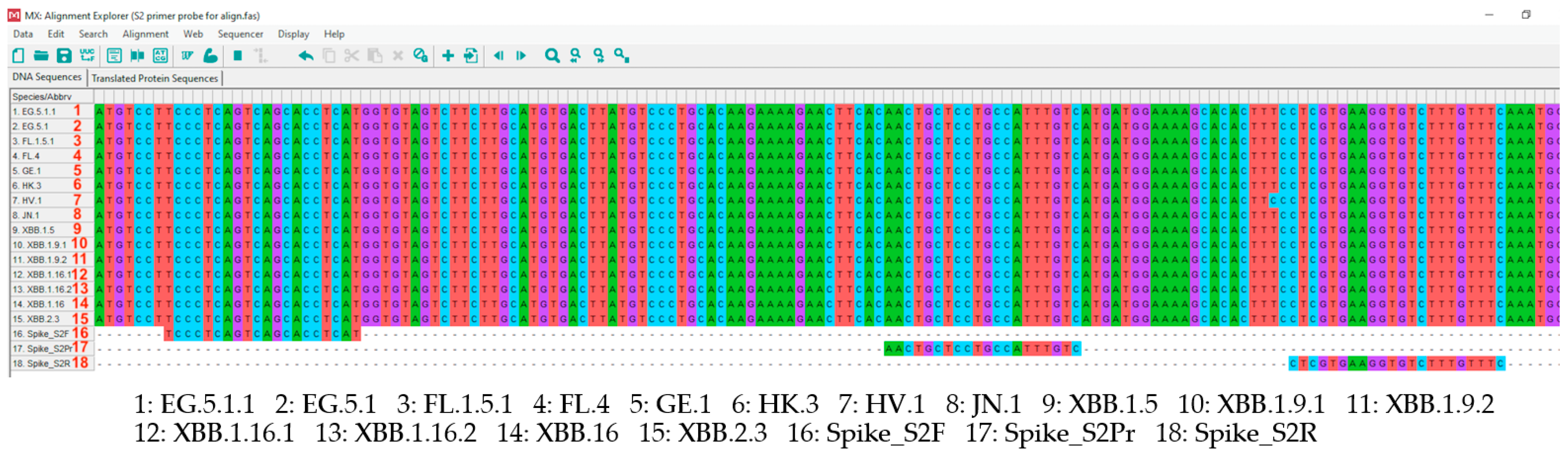 Tropicalmed 09 00050 g002
