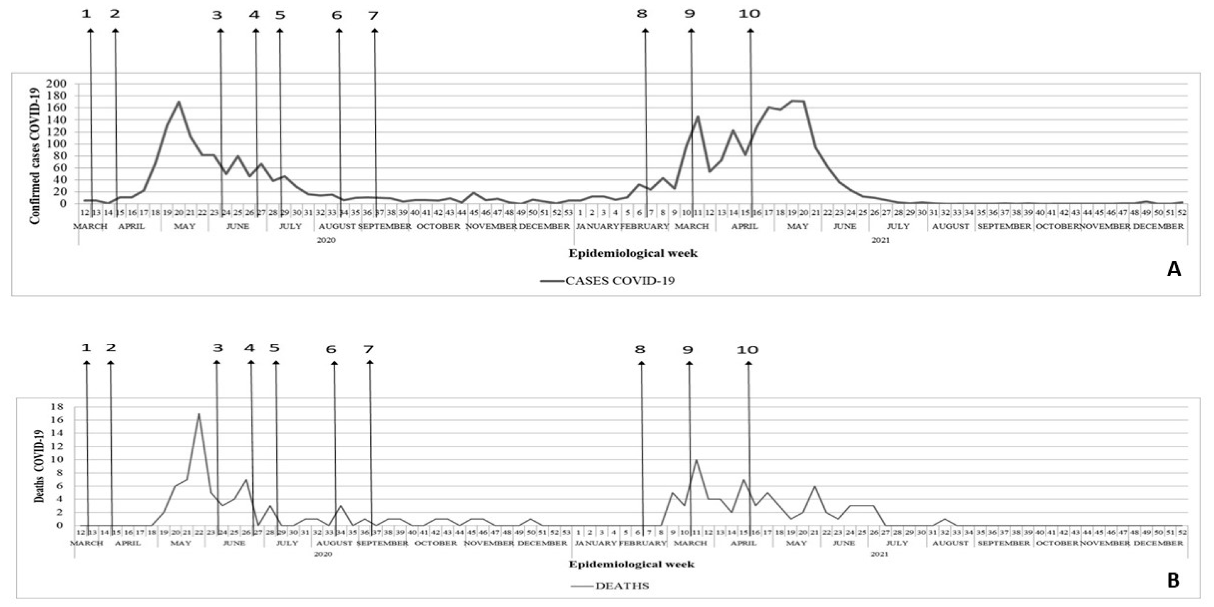 Tropicalmed 09 00097 g002