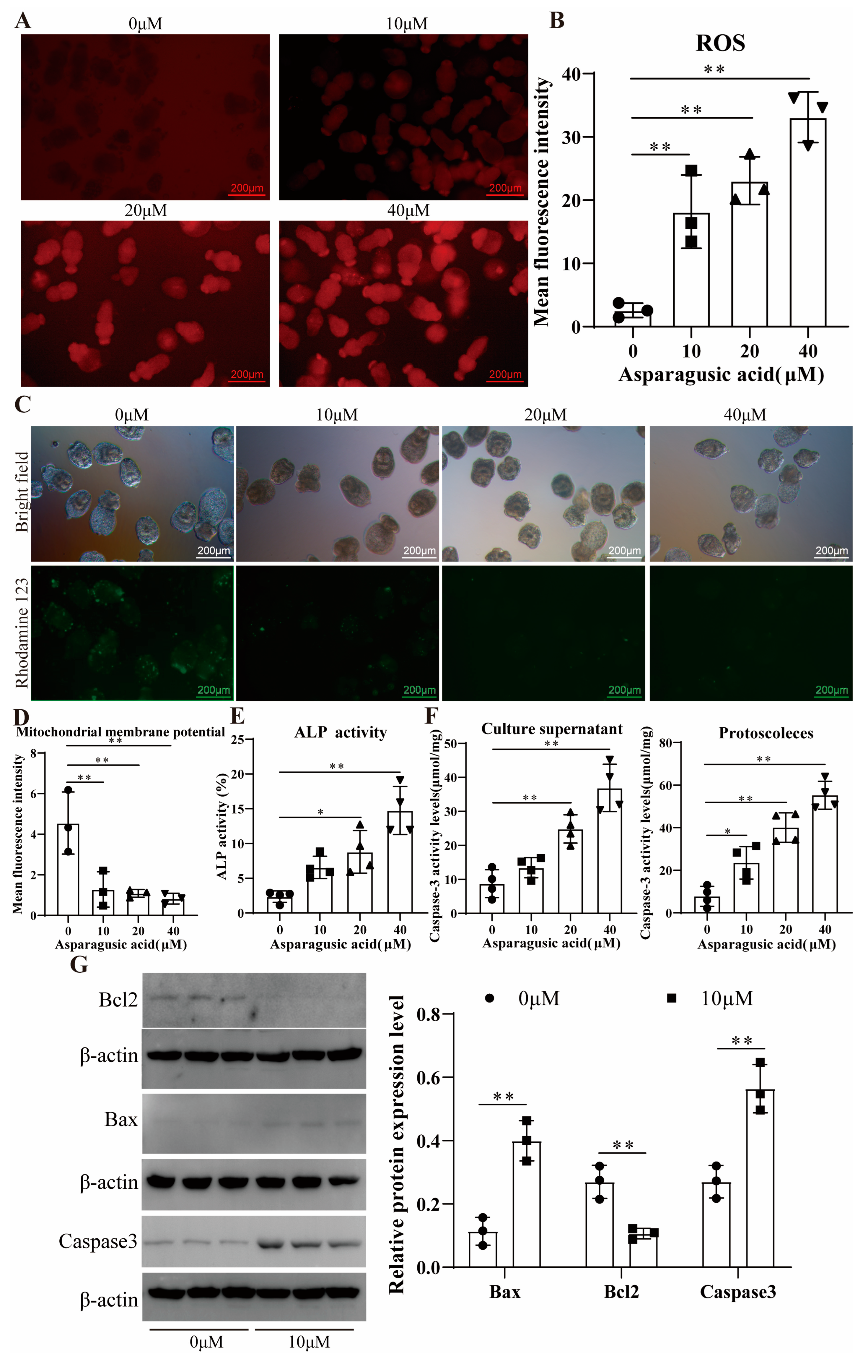 Tropicalmed 09 00110 g002