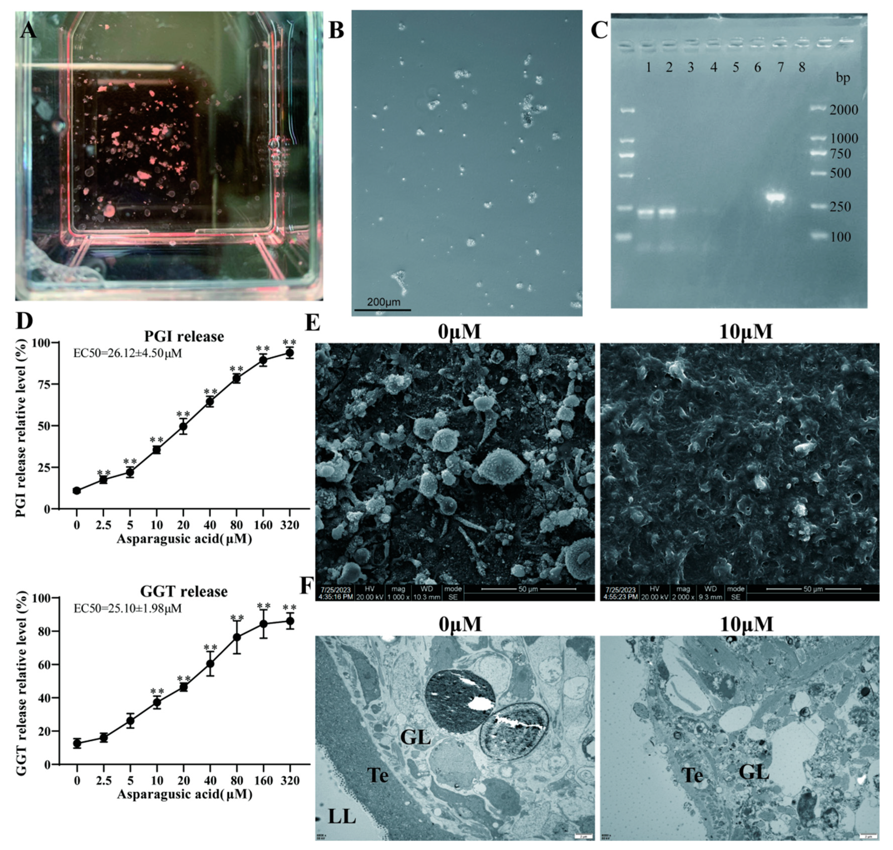 Tropicalmed 09 00110 g003