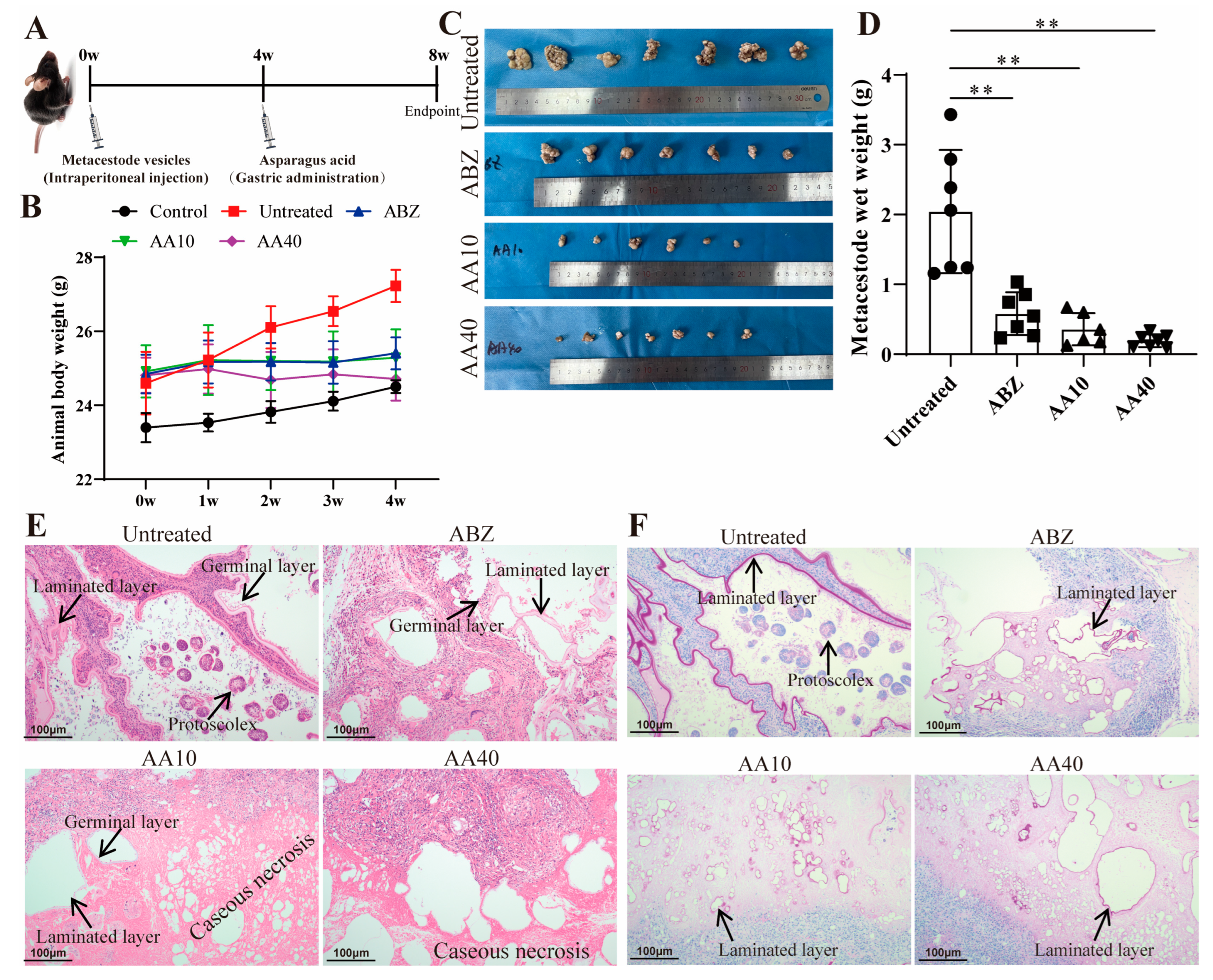 Tropicalmed 09 00110 g007