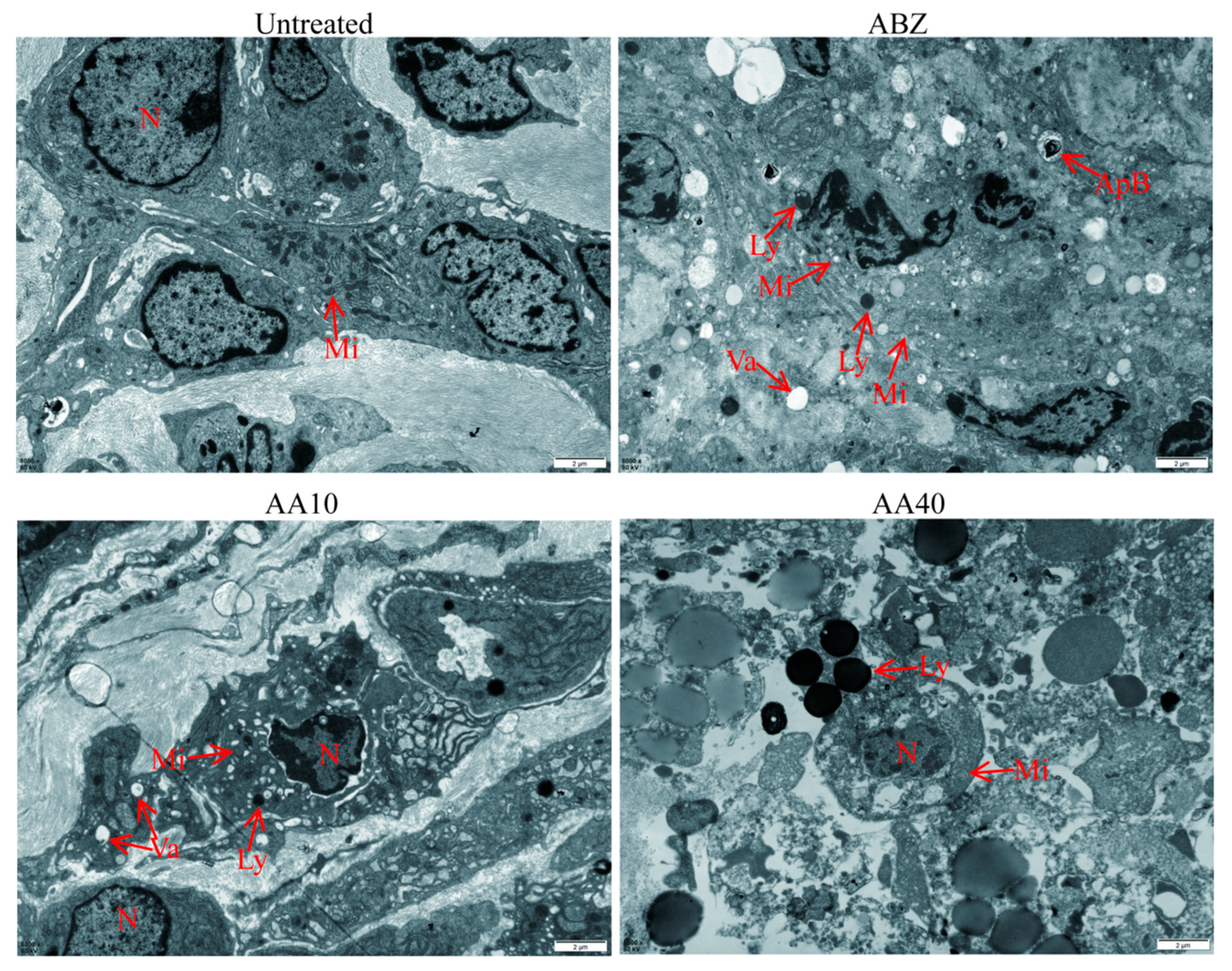 Tropicalmed 09 00110 g008