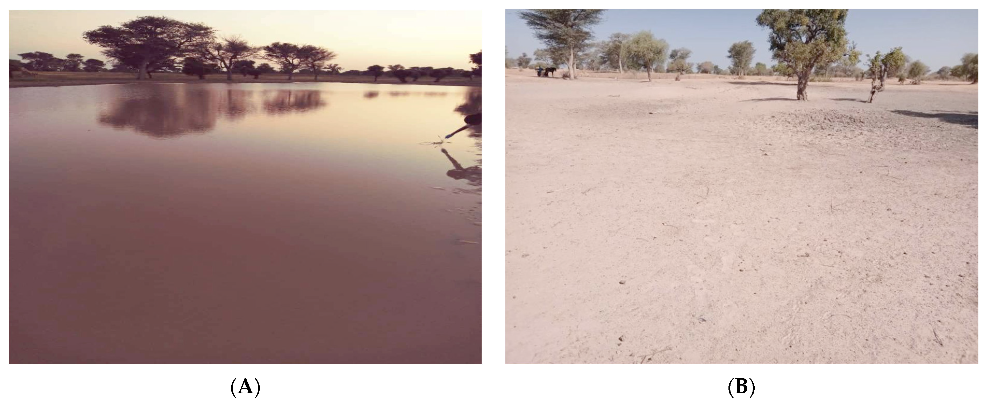 Tropicalmed 09 00121 g002