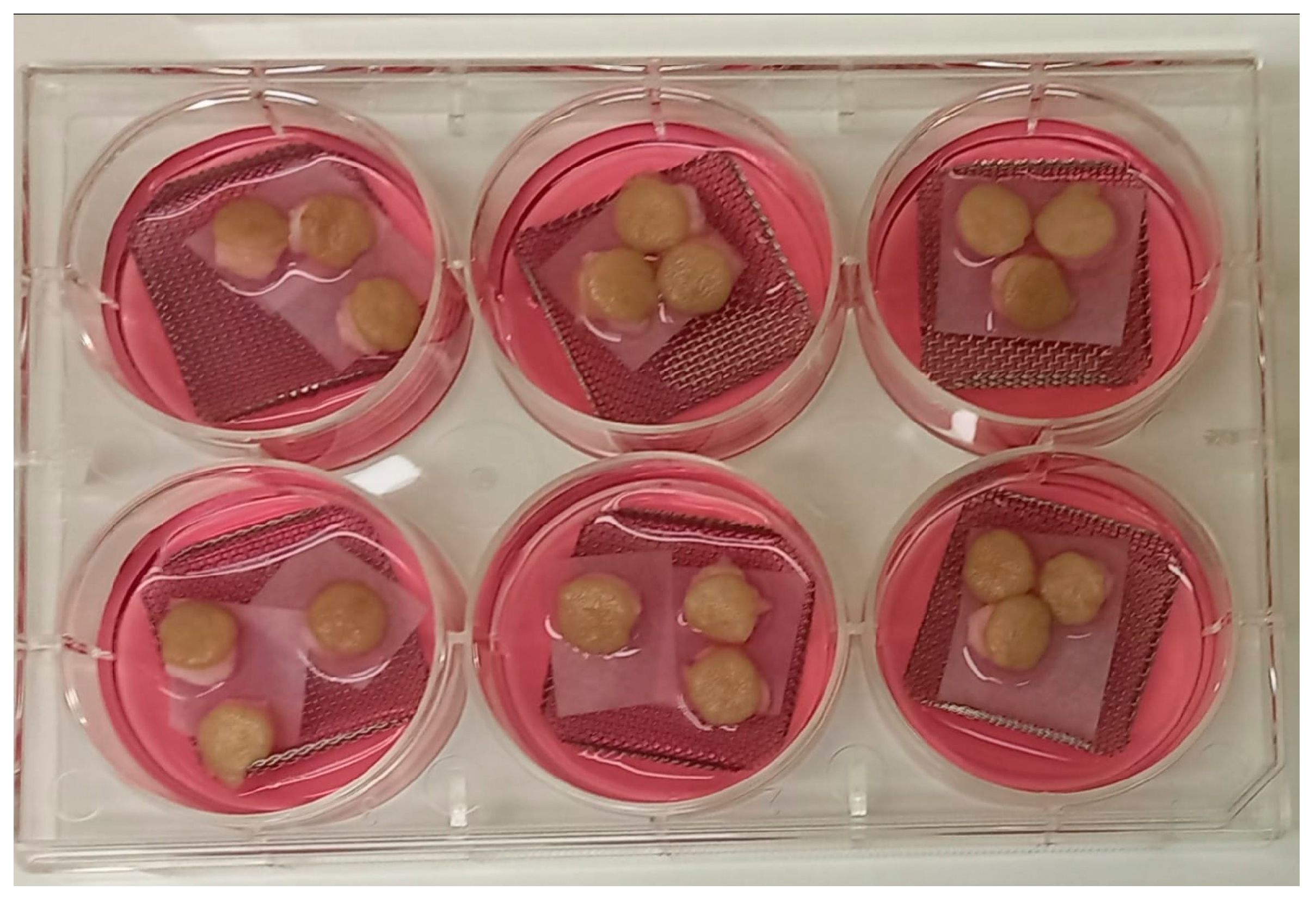 Tropicalmed 09 00135 g001