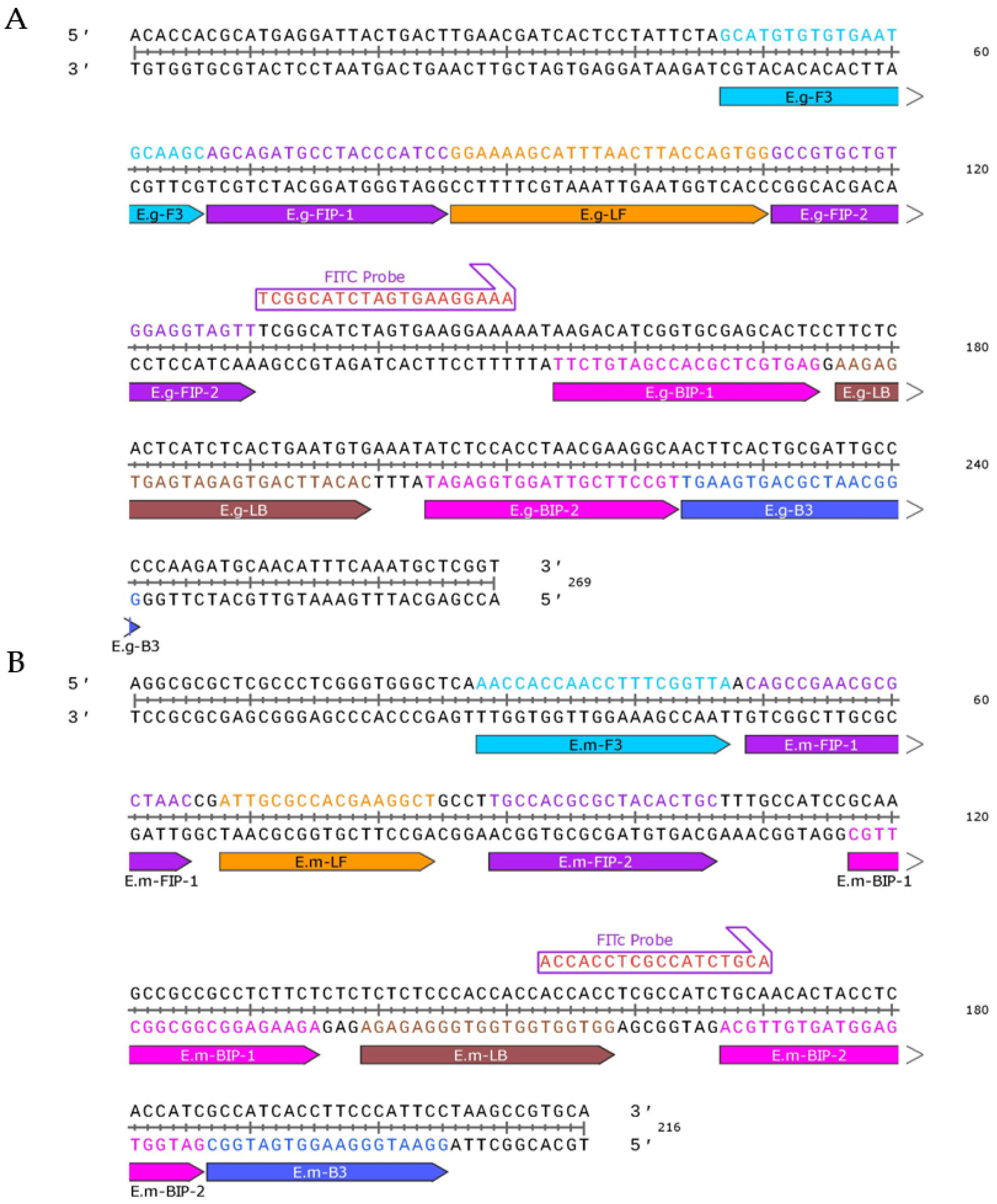 Tropicalmed 09 00136 g001