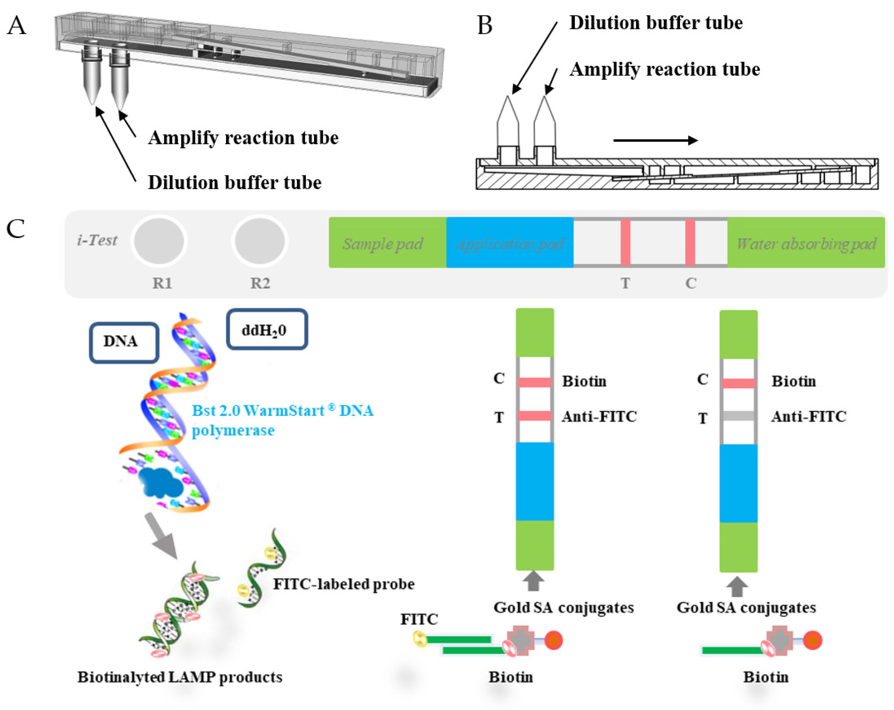 Tropicalmed 09 00136 g002