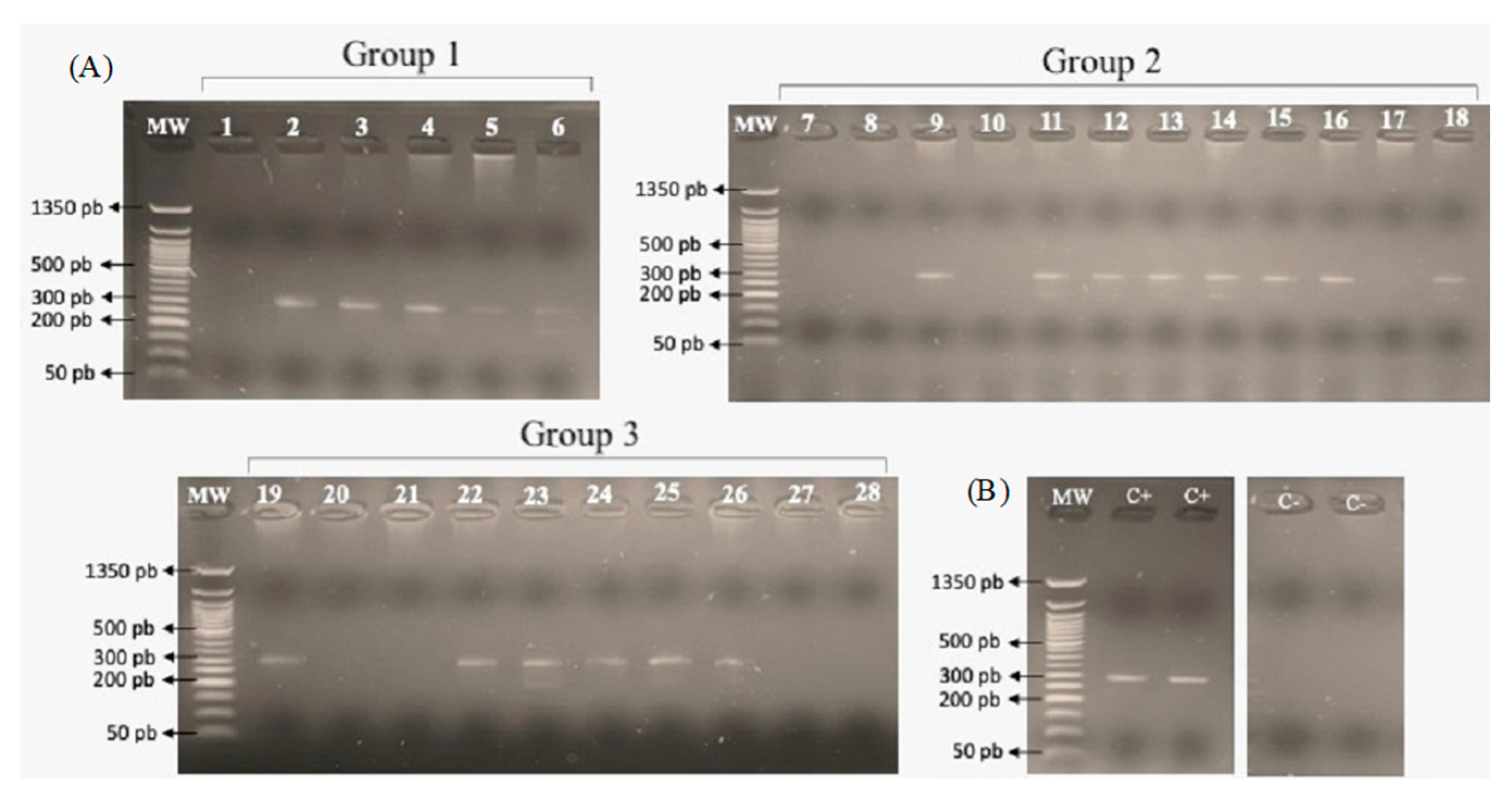 Tropicalmed 09 00152 g001