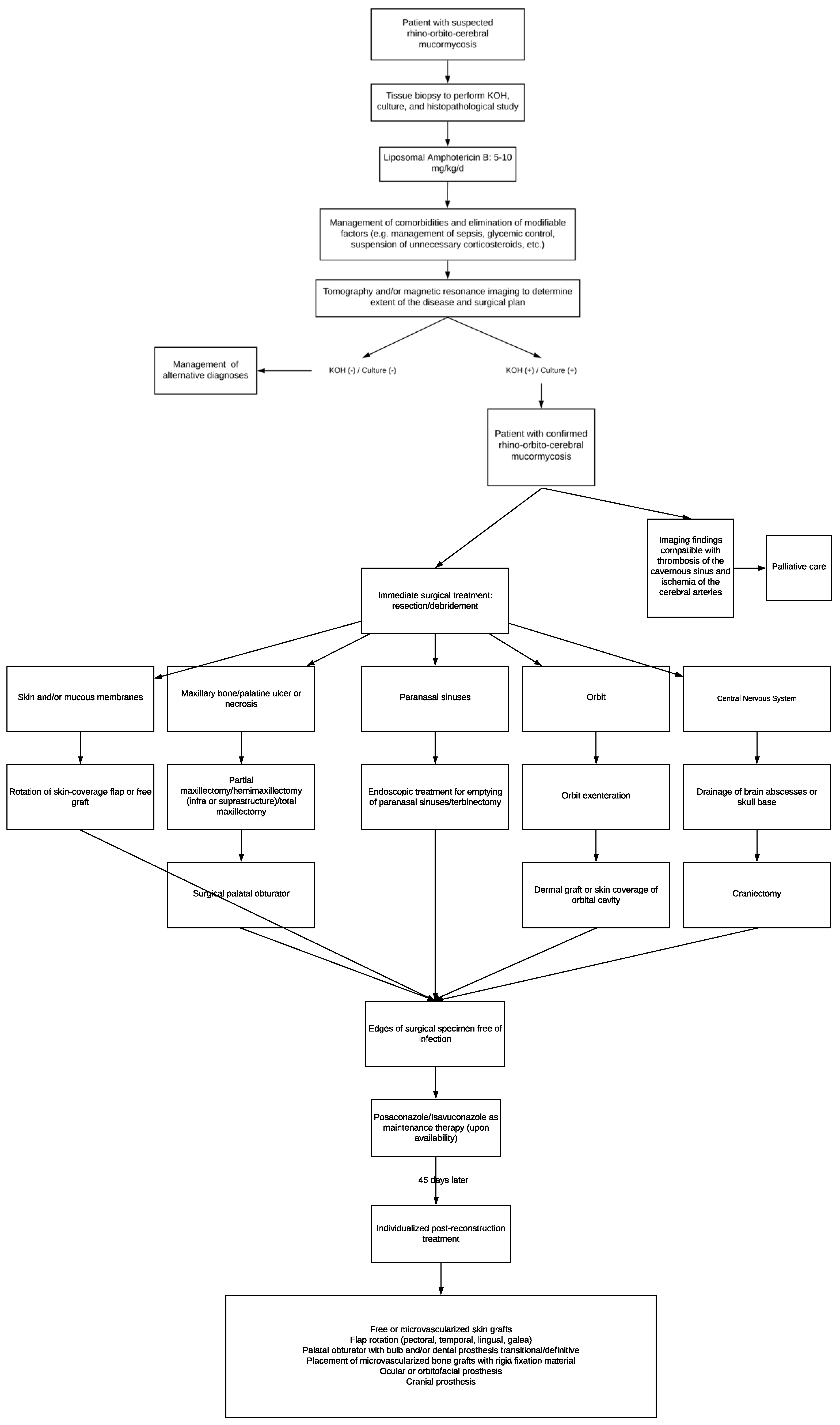 Tropicalmed 09 00158 g004