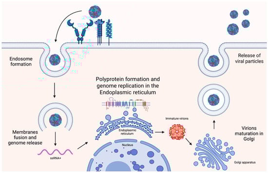 Tropicalmed 09 00166 g002 Tropicalmed 09 00166 g002