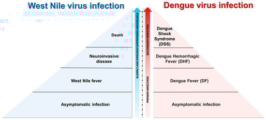 Tropicalmed 09 00166 g005 Tropicalmed 09 00166 g005