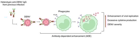 Tropicalmed 09 00166 g006 Tropicalmed 09 00166 g006